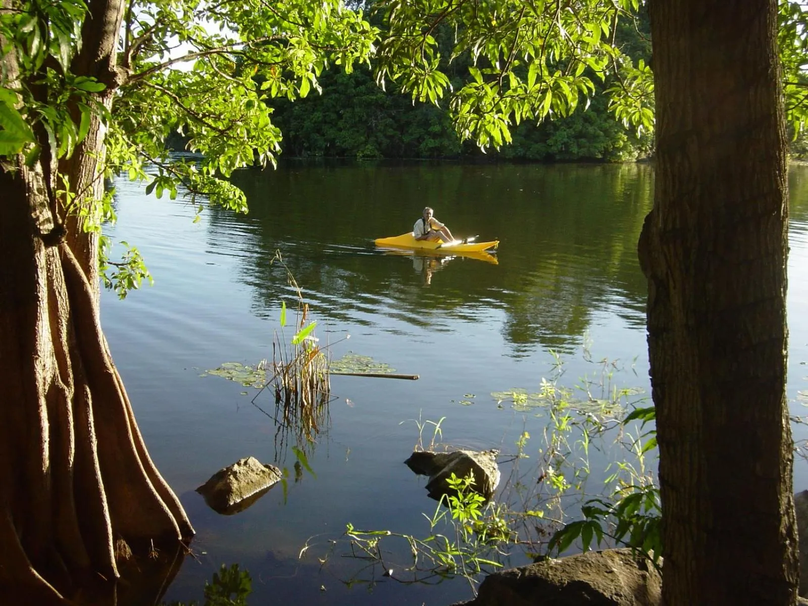 Zopango Orchids Island