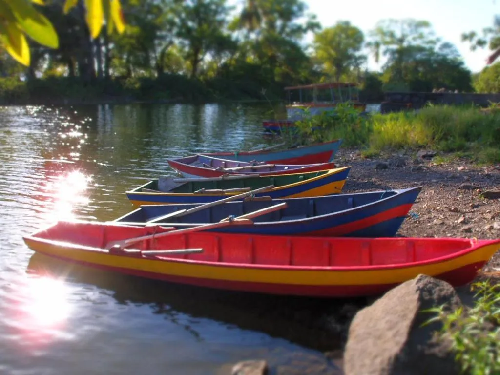Zopango Orchids Island
