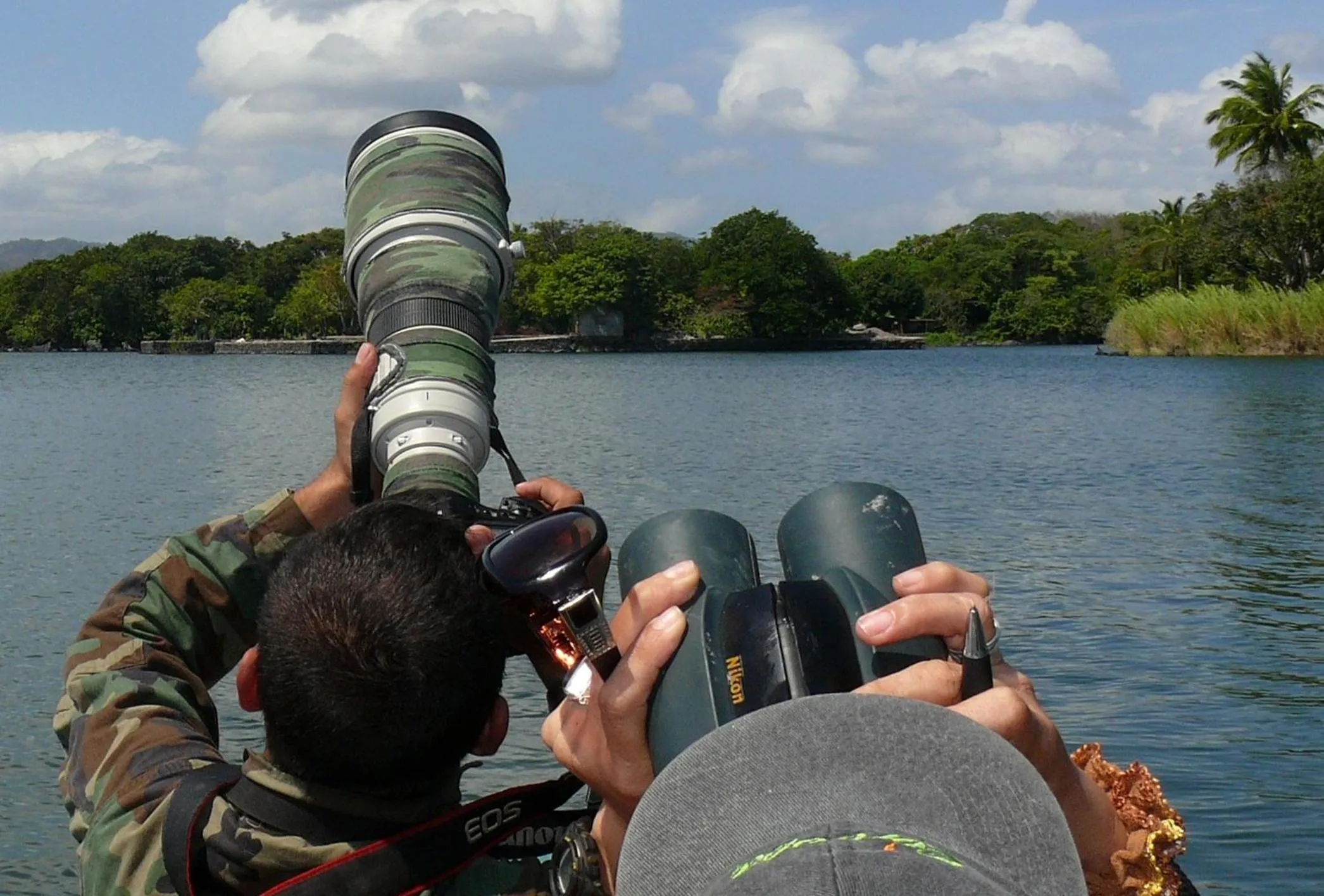 Zopango Orchids Island