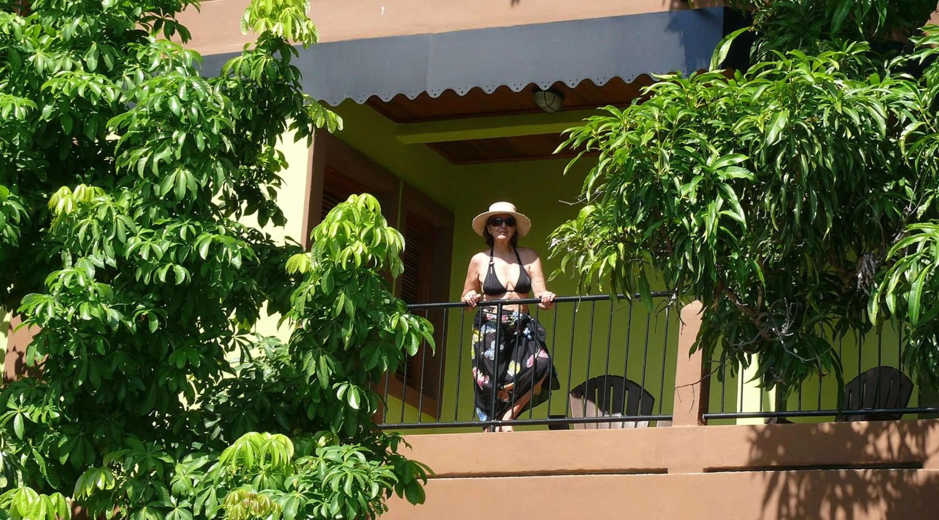 Zopango Orchids Island