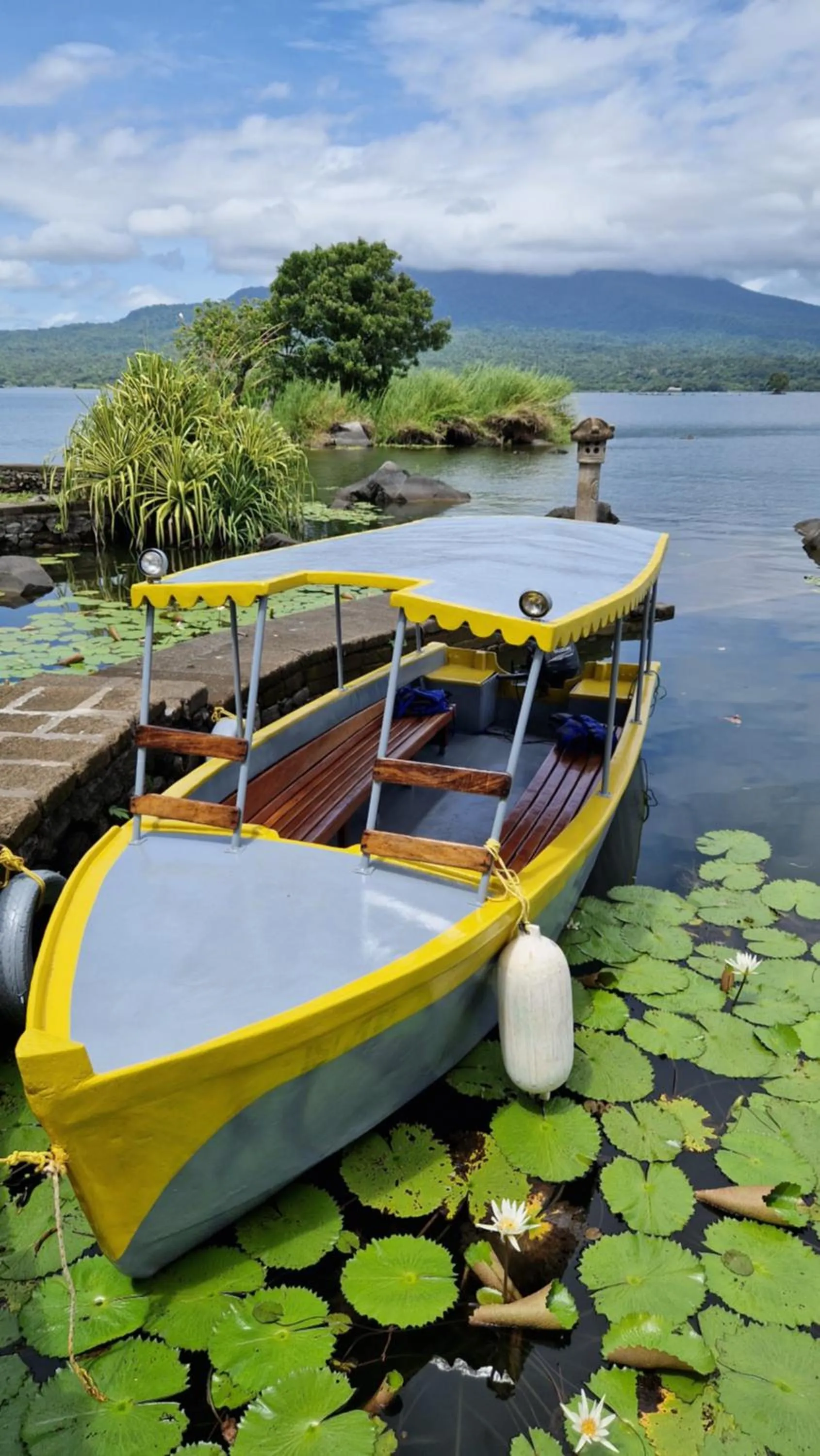 Zopango Orchids Island