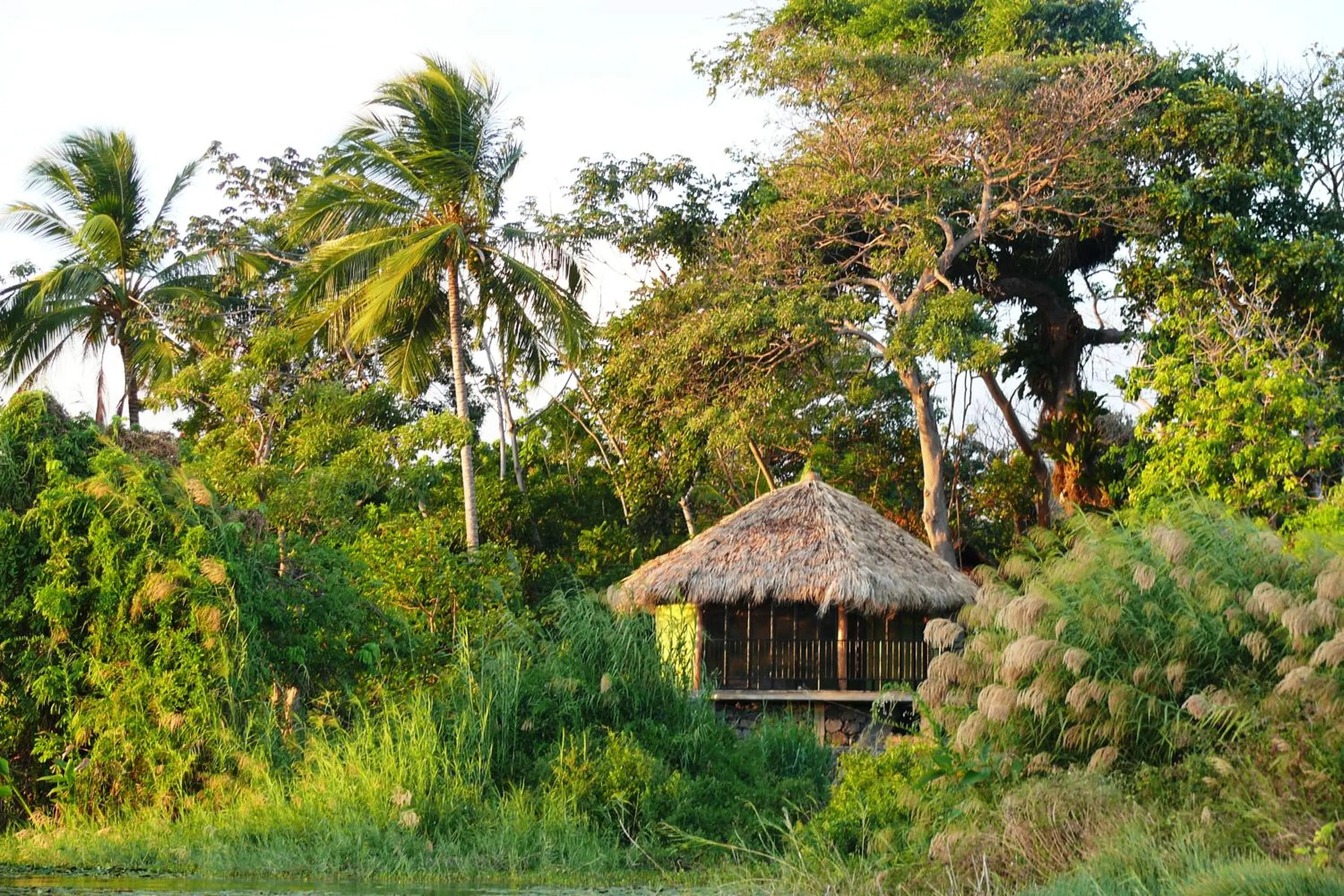 King Room with Lake View in Zopango Orchids Island