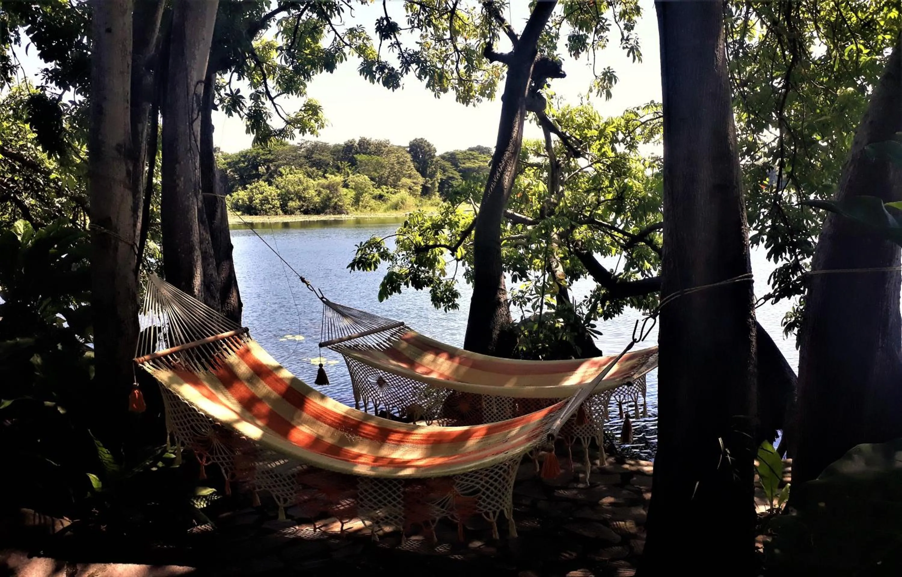 Lake view in Zopango Orchids Island