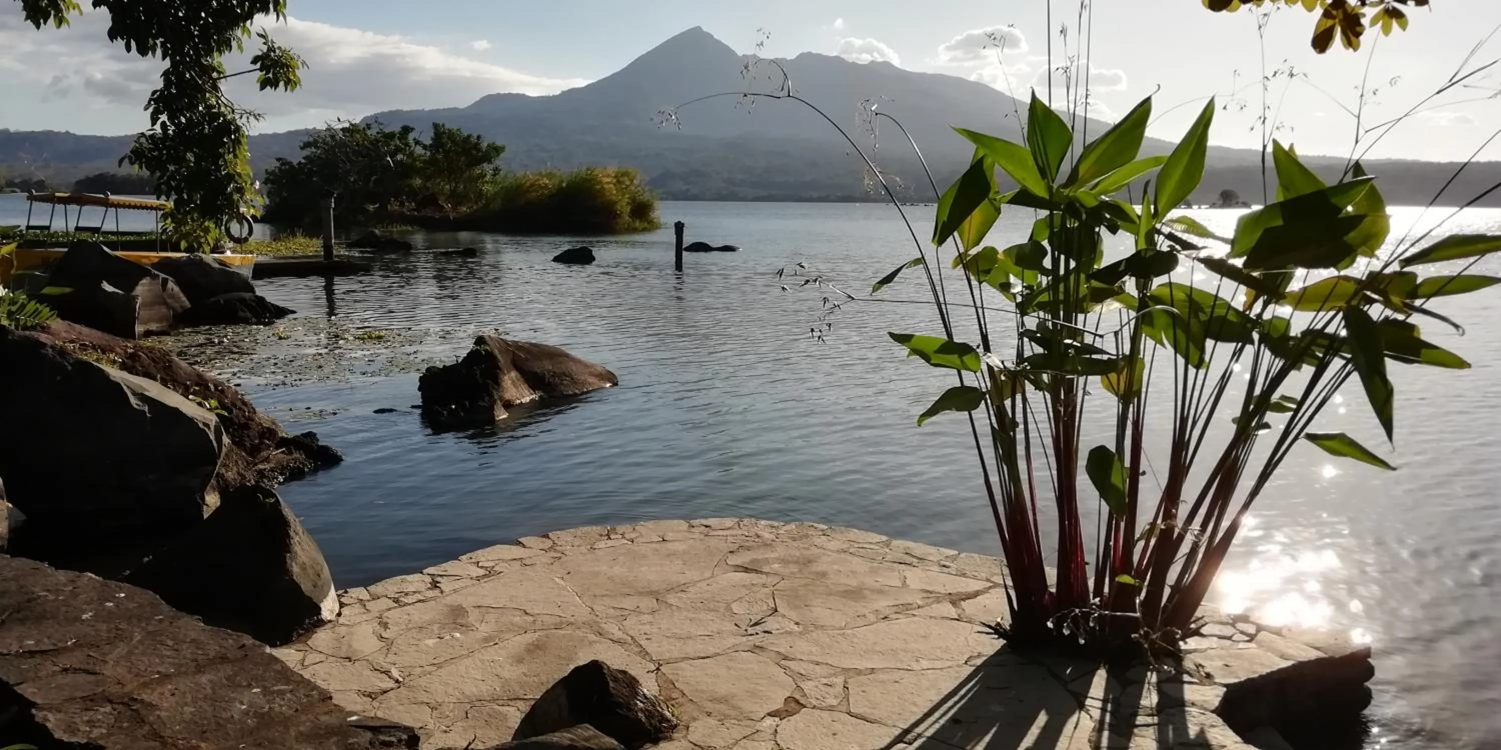 Zopango Orchids Island