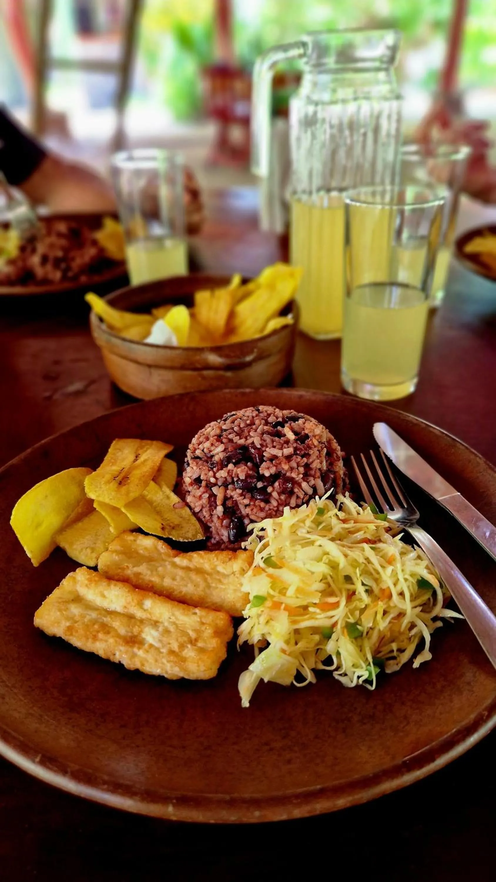 Zopango Orchids Island