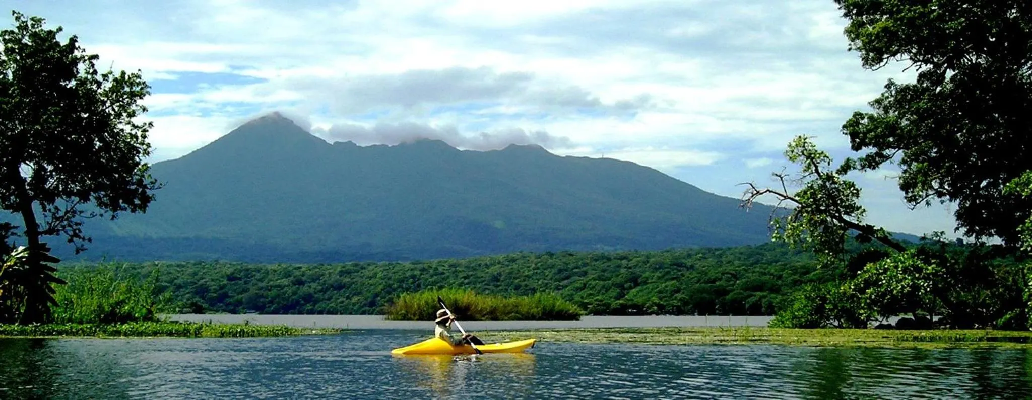Zopango Orchids Island