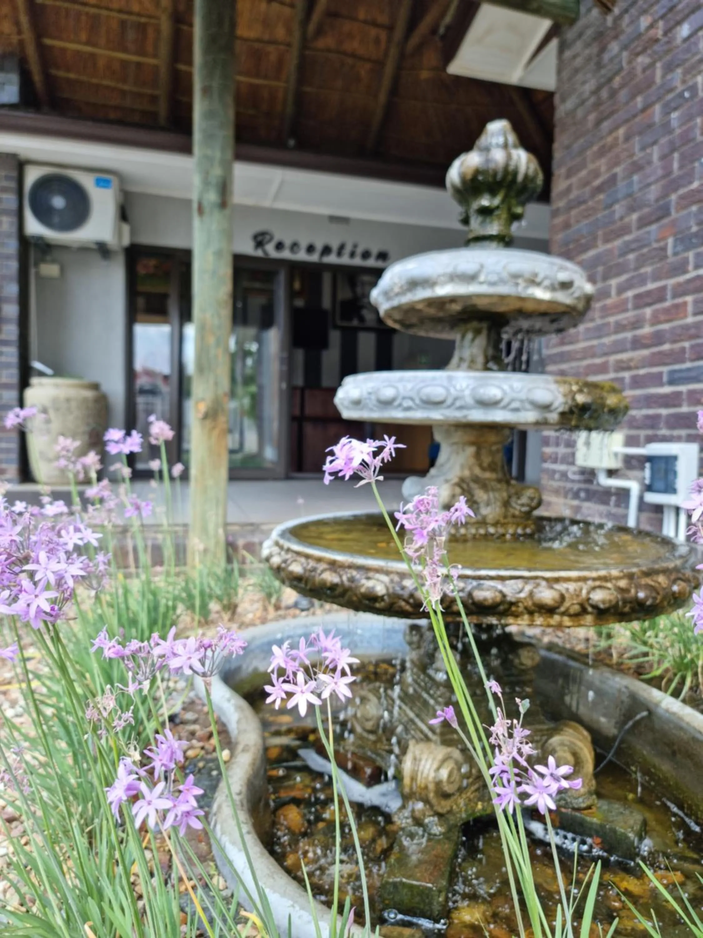 Garden in Balmoral Lodge