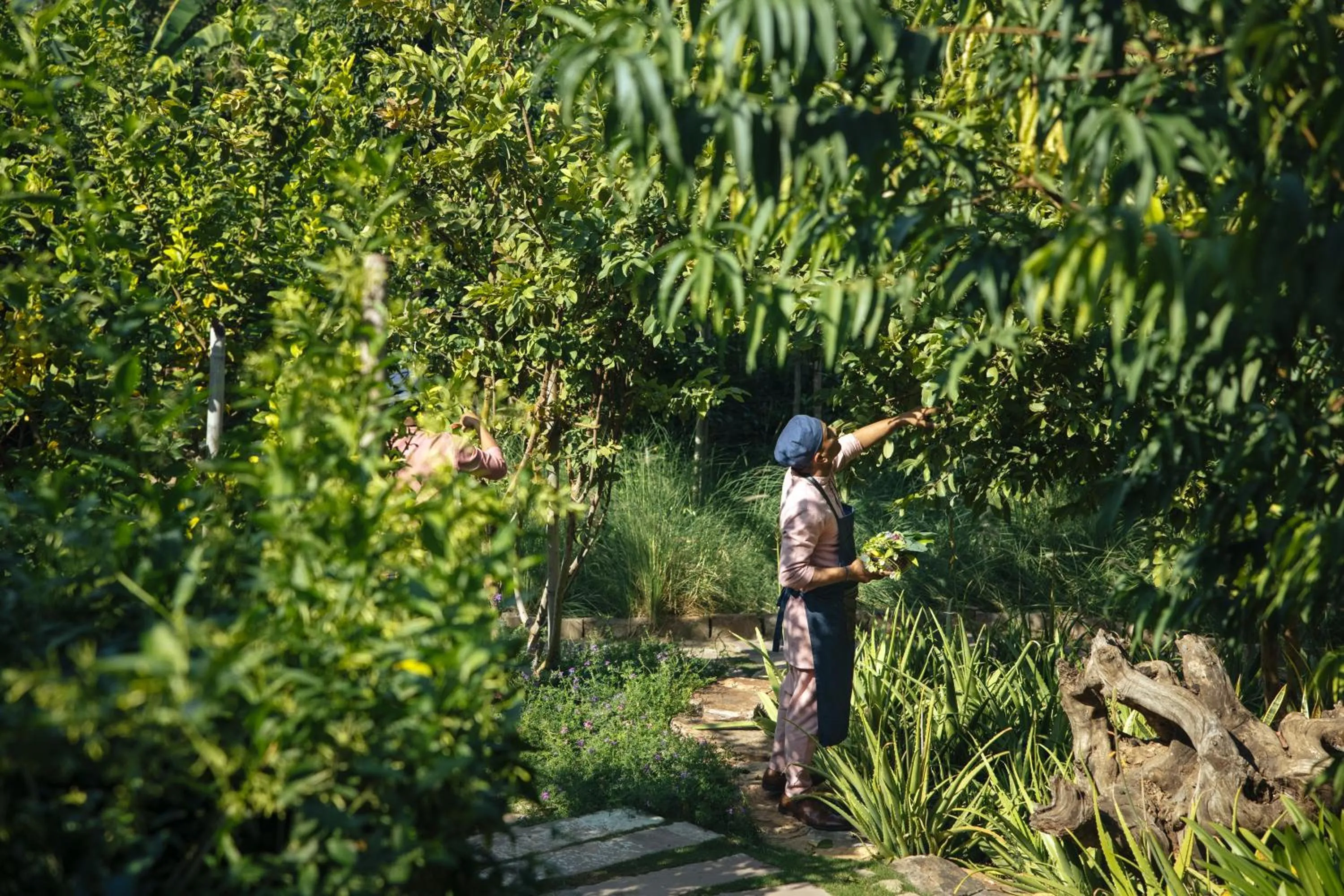 Food in Six Senses Fort Barwara Sawai Madhopur
