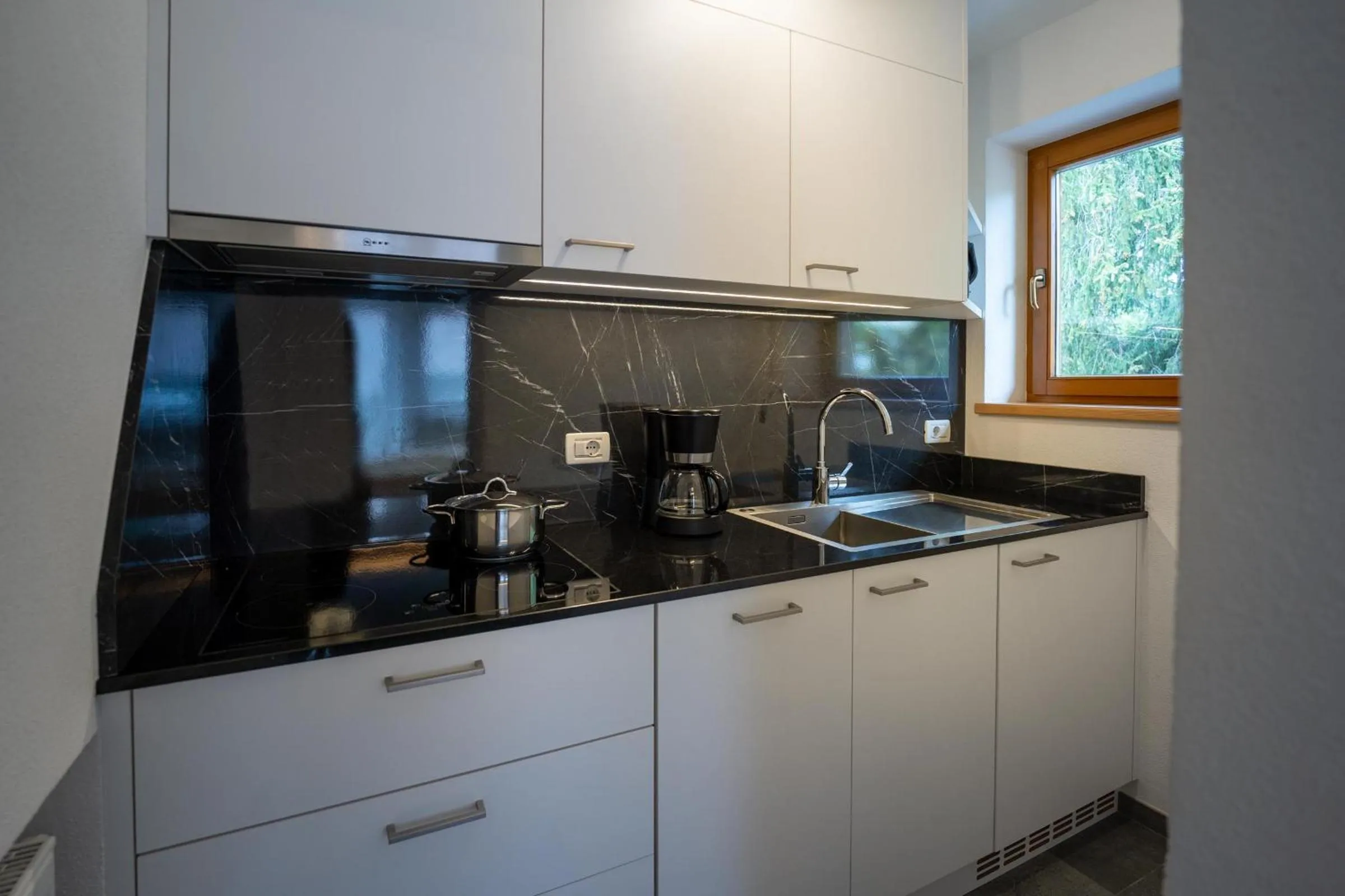 Kitchen or kitchenette in Apartments Lasteis