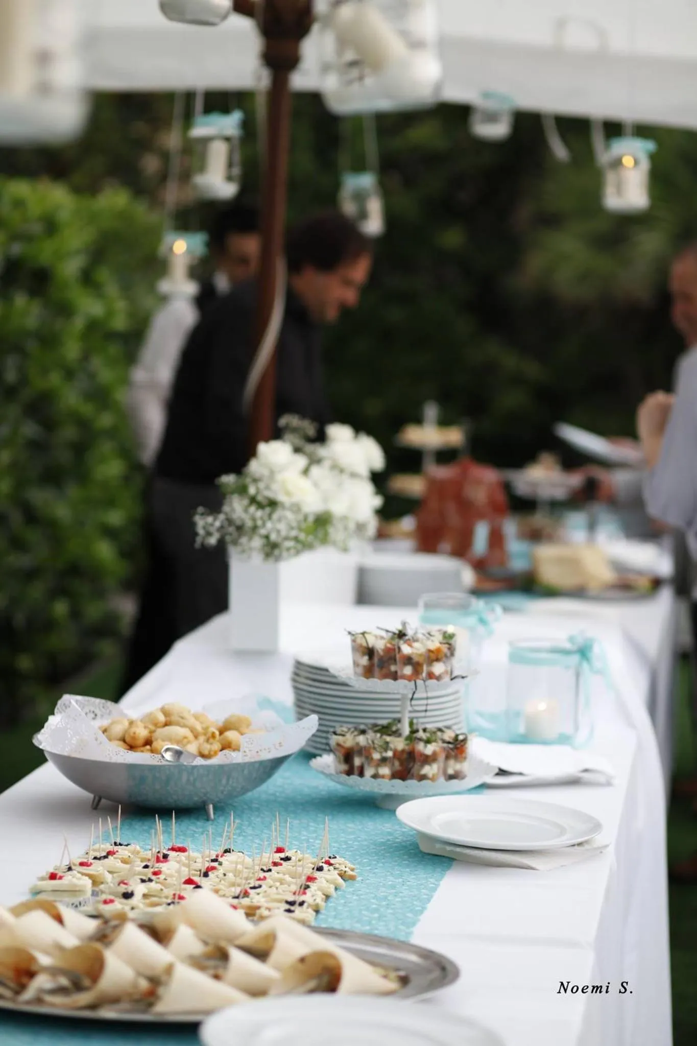 Garden in Hotel Serenella