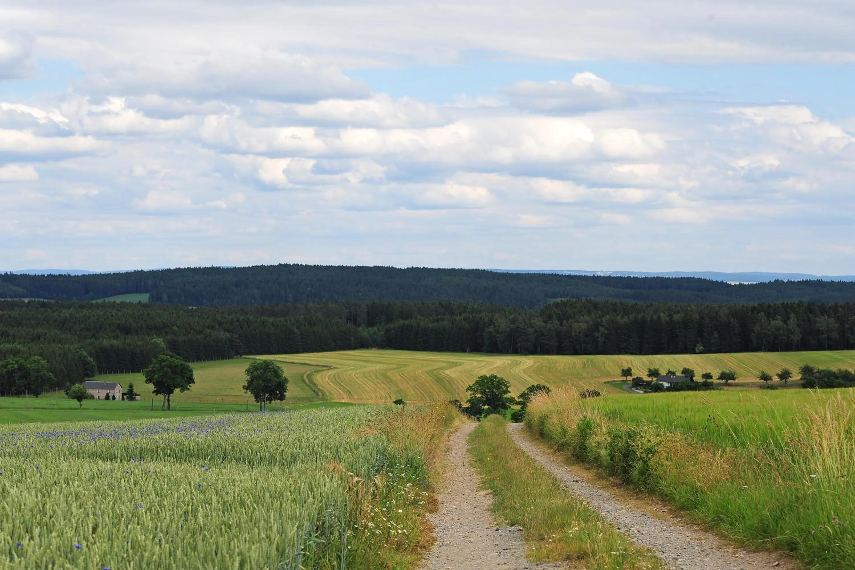 Hiking in Landhotel Plauen - Gasthof Zwoschwitz