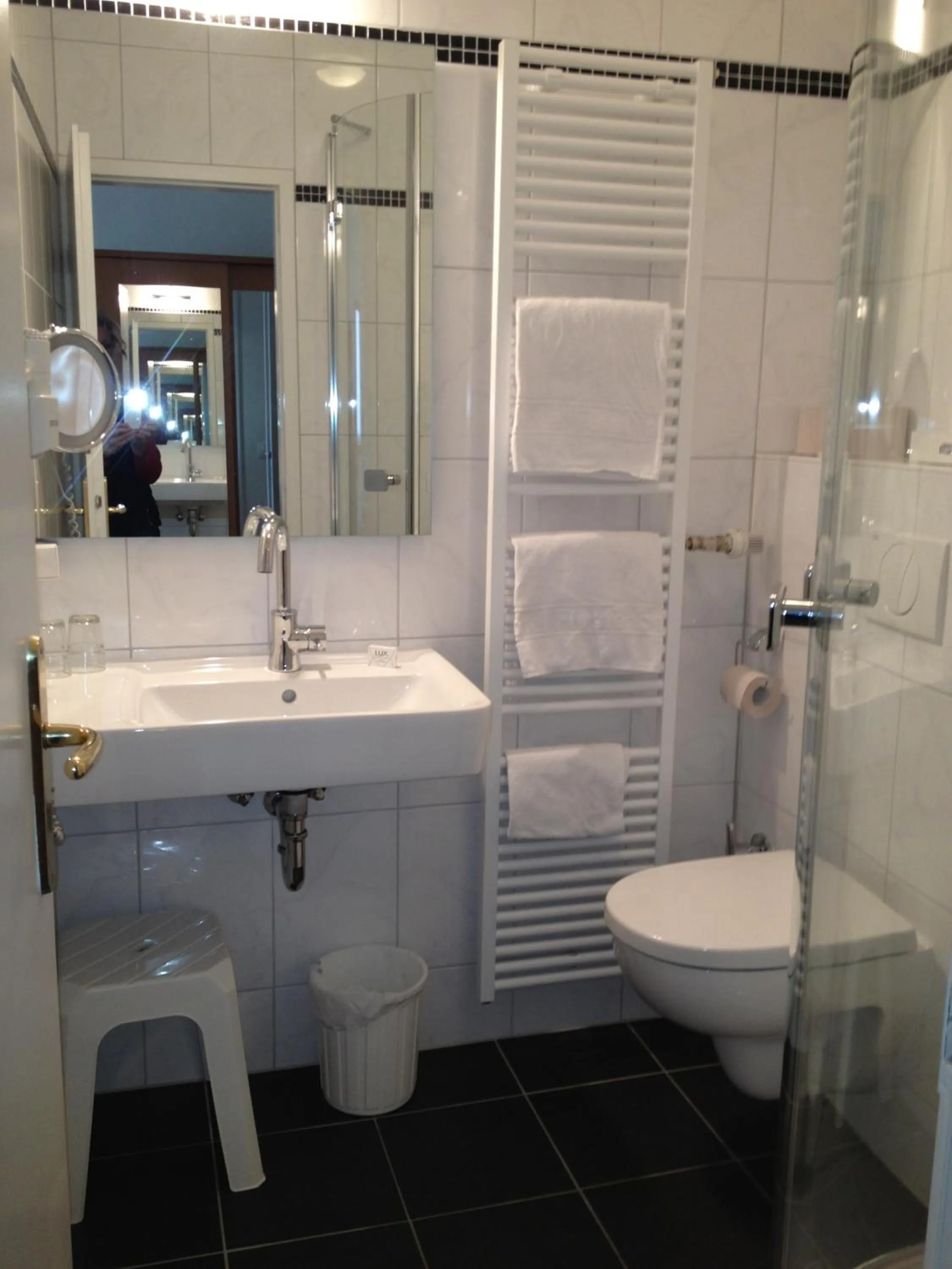 Toilet in Hotel Fürstenberg