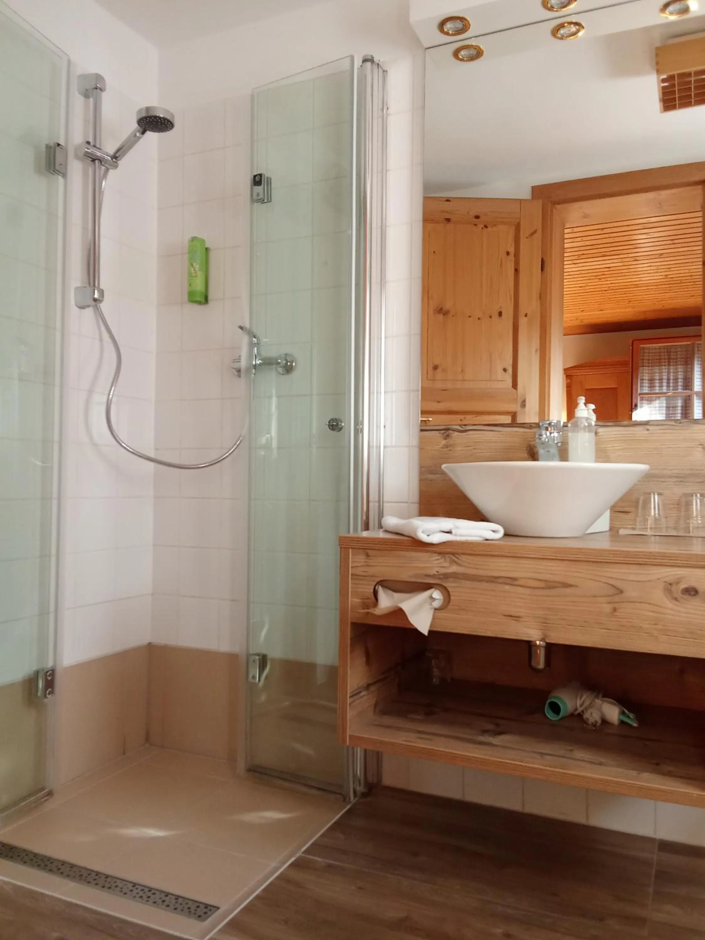 Shower in Steinschalerhof