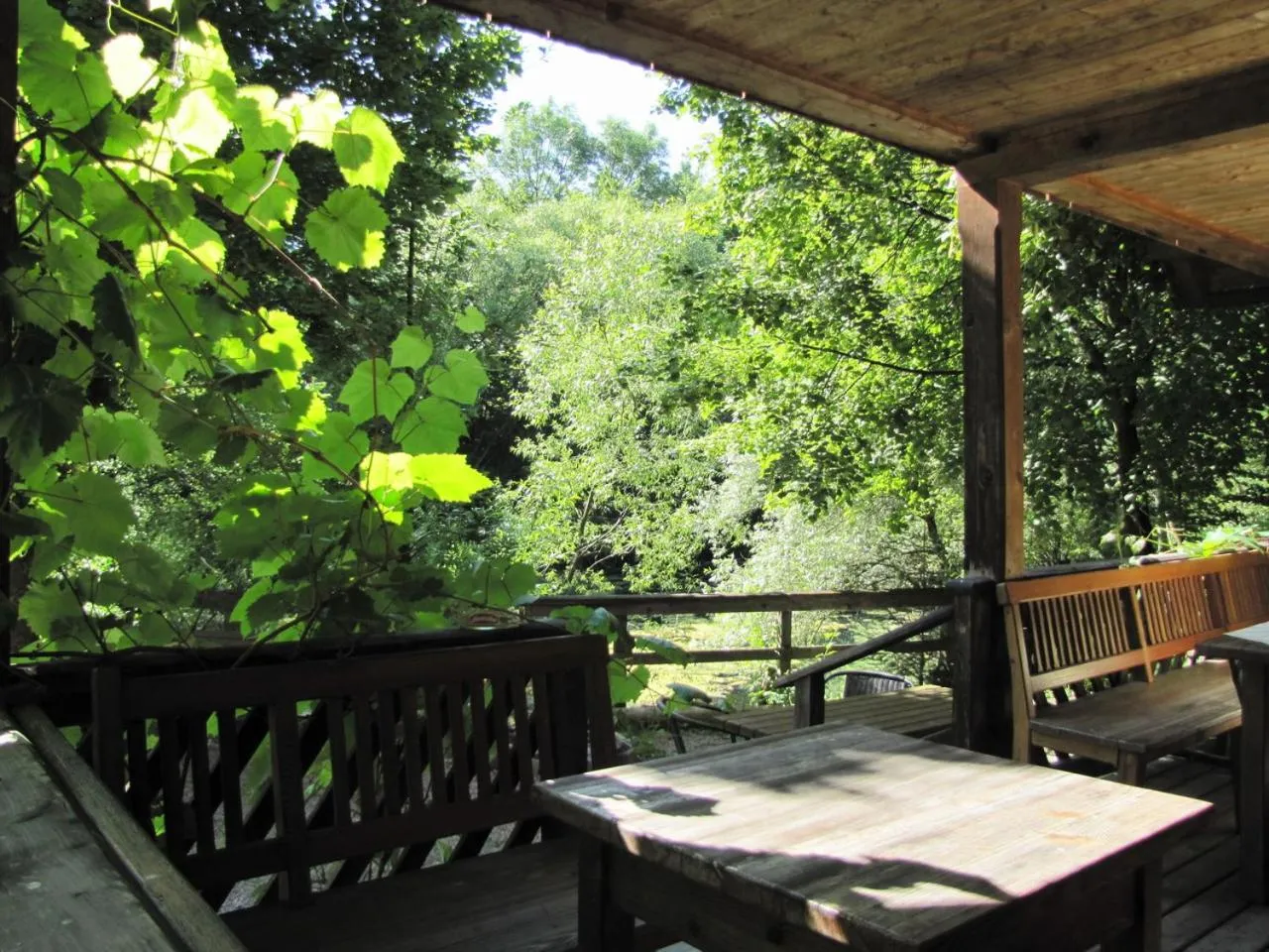 View (from property/room) in Steinschalerhof