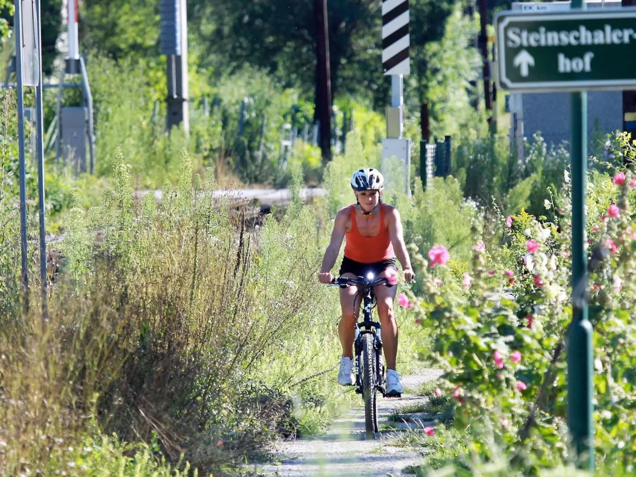Cycling in Steinschalerhof