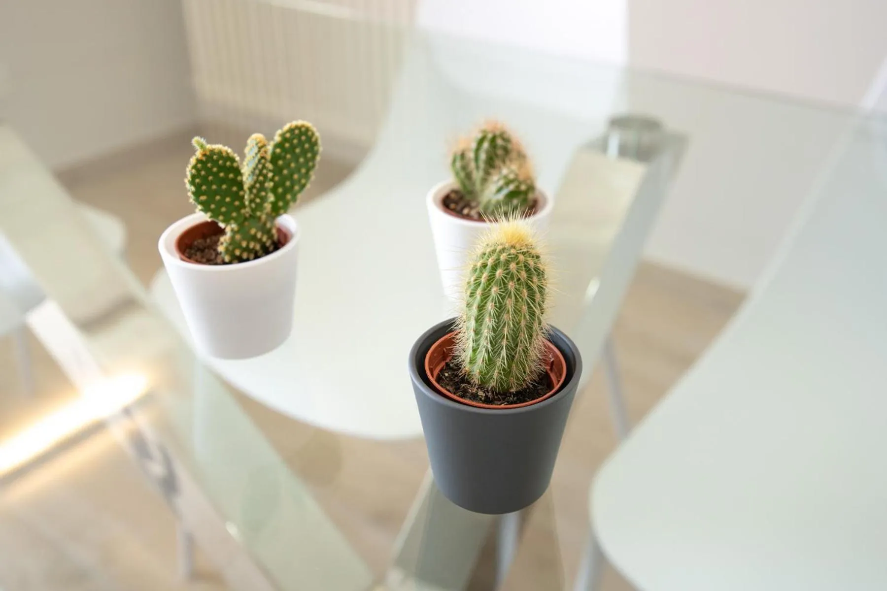 Decorative detail in Le Casette - Casaliva