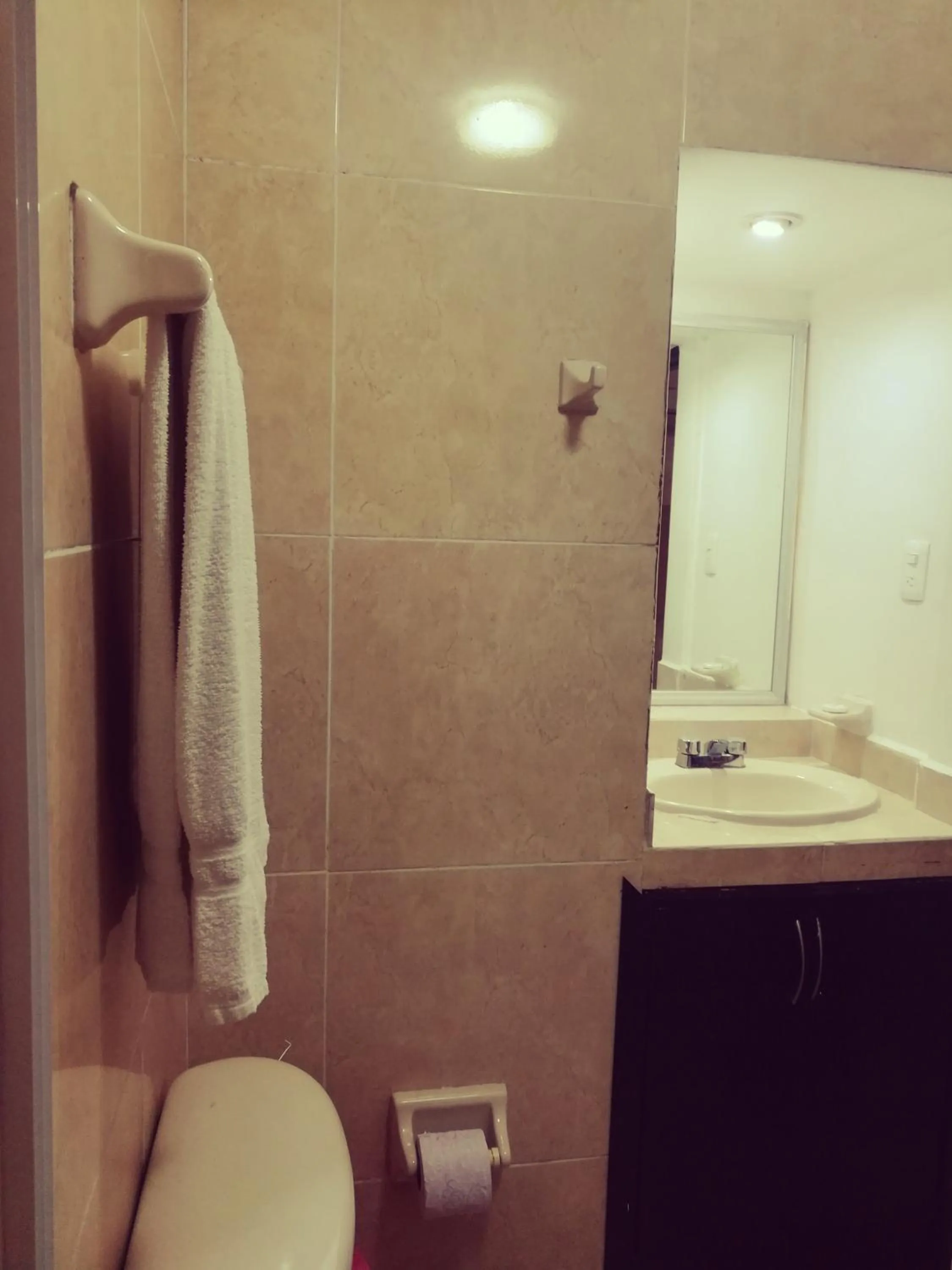 Bathroom in Hotel El Marques