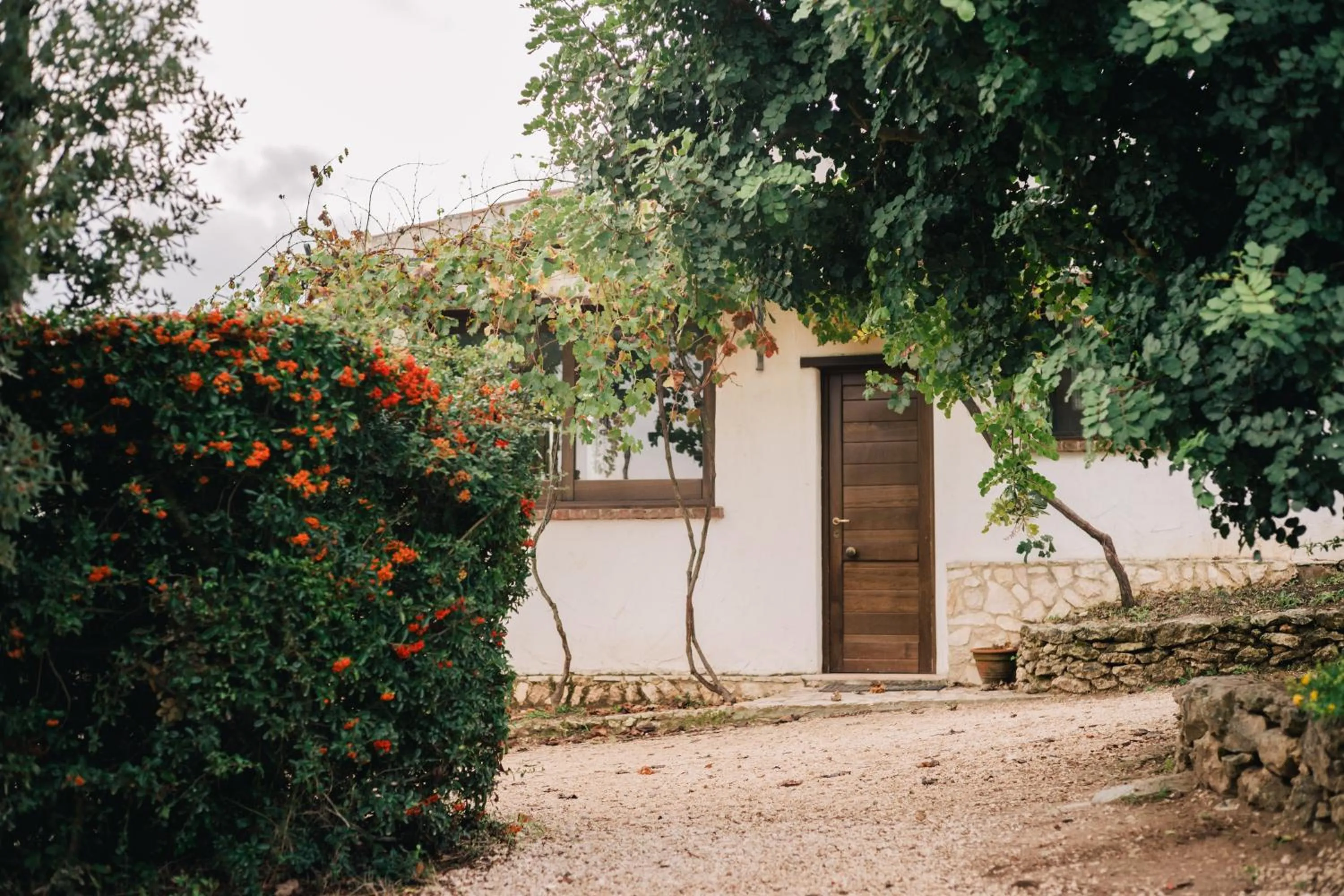 Property building in B&B Badde Cubas