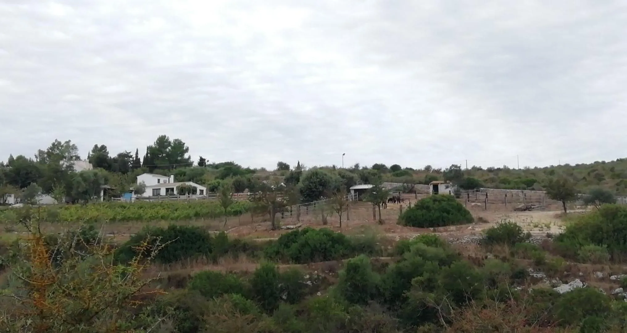 Street view in B&B Badde Cubas