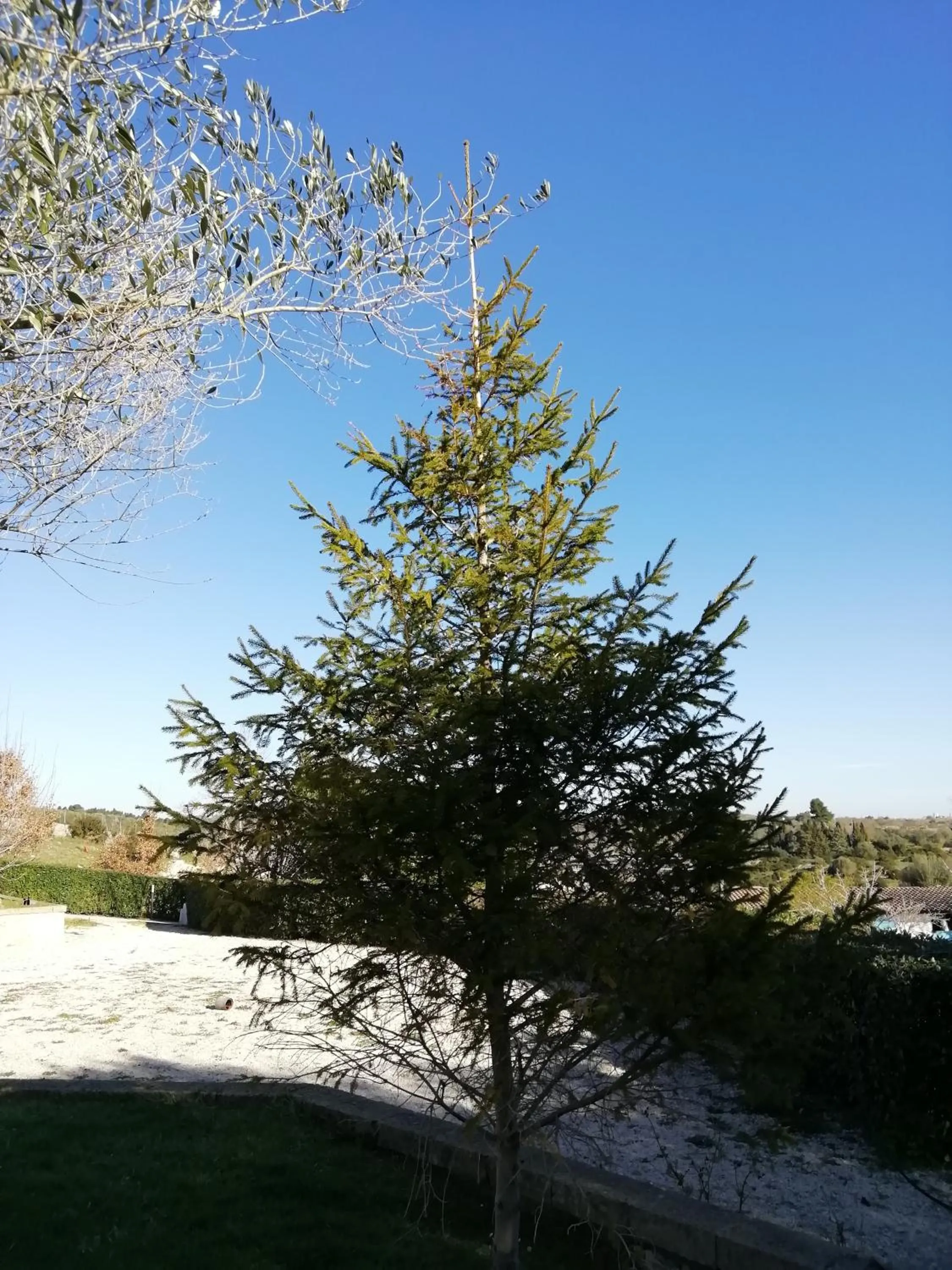 Spring in B&B Badde Cubas