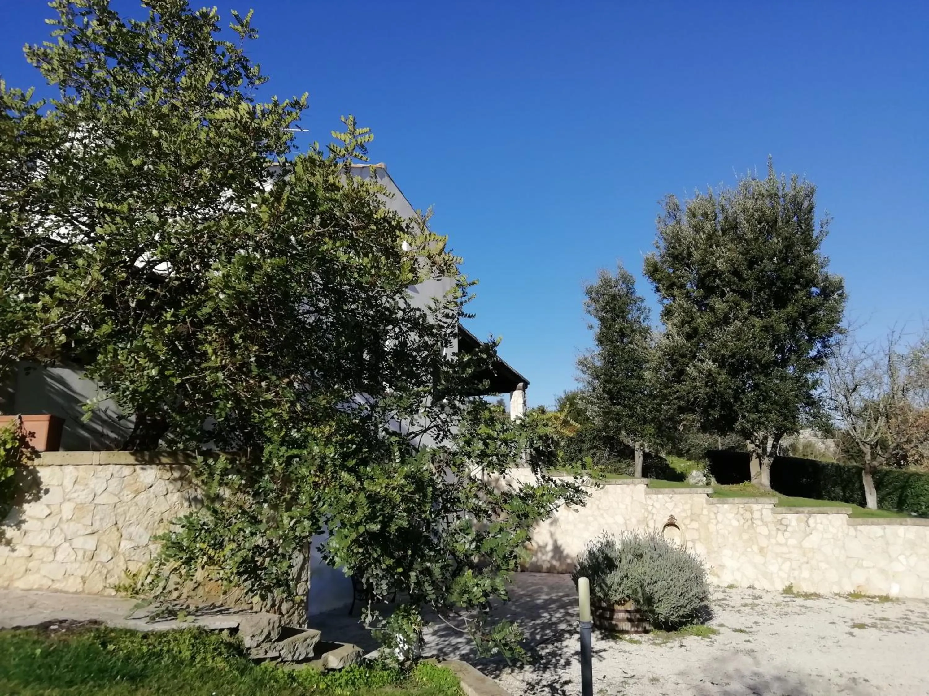 Spring in B&B Badde Cubas