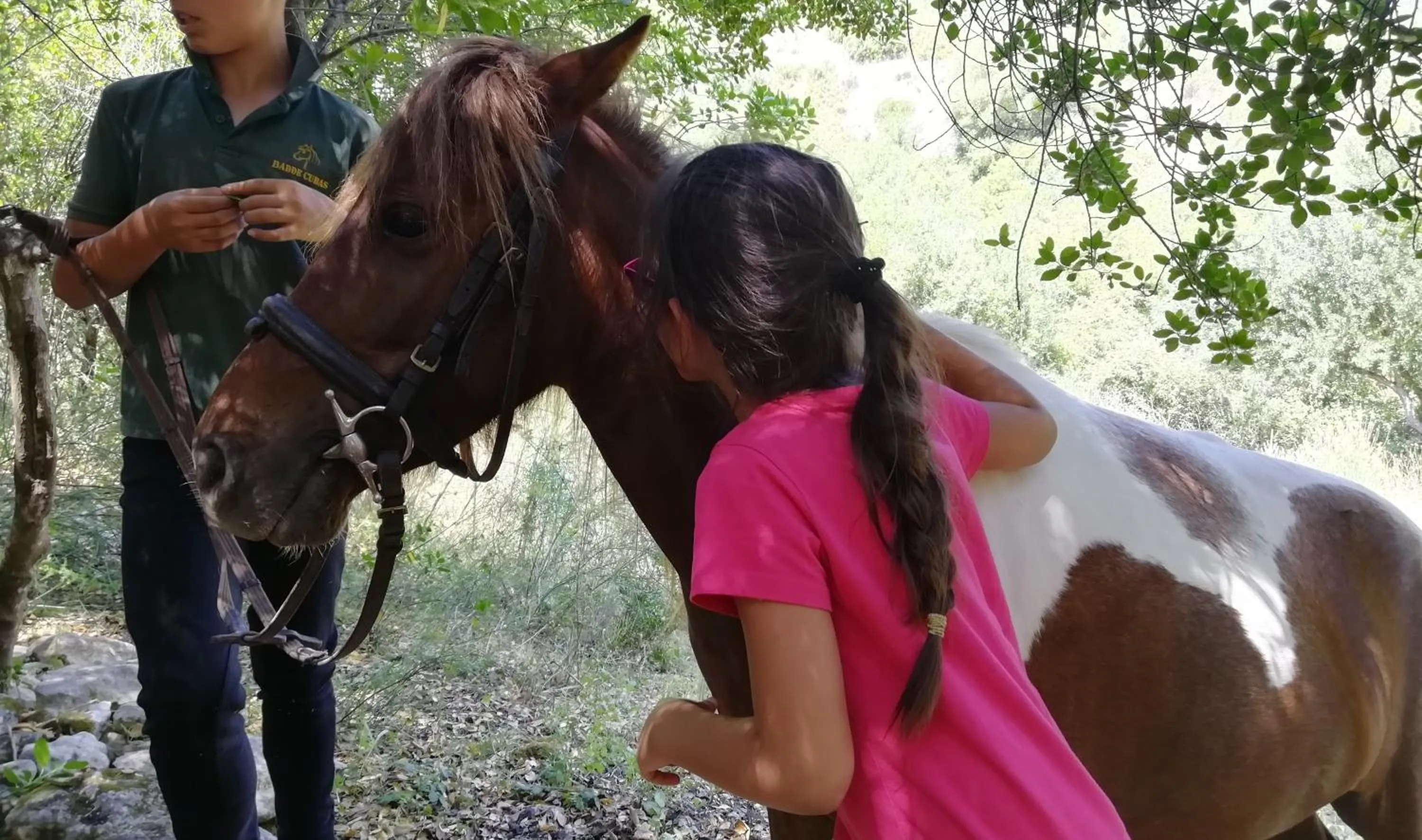 Activities in B&B Badde Cubas