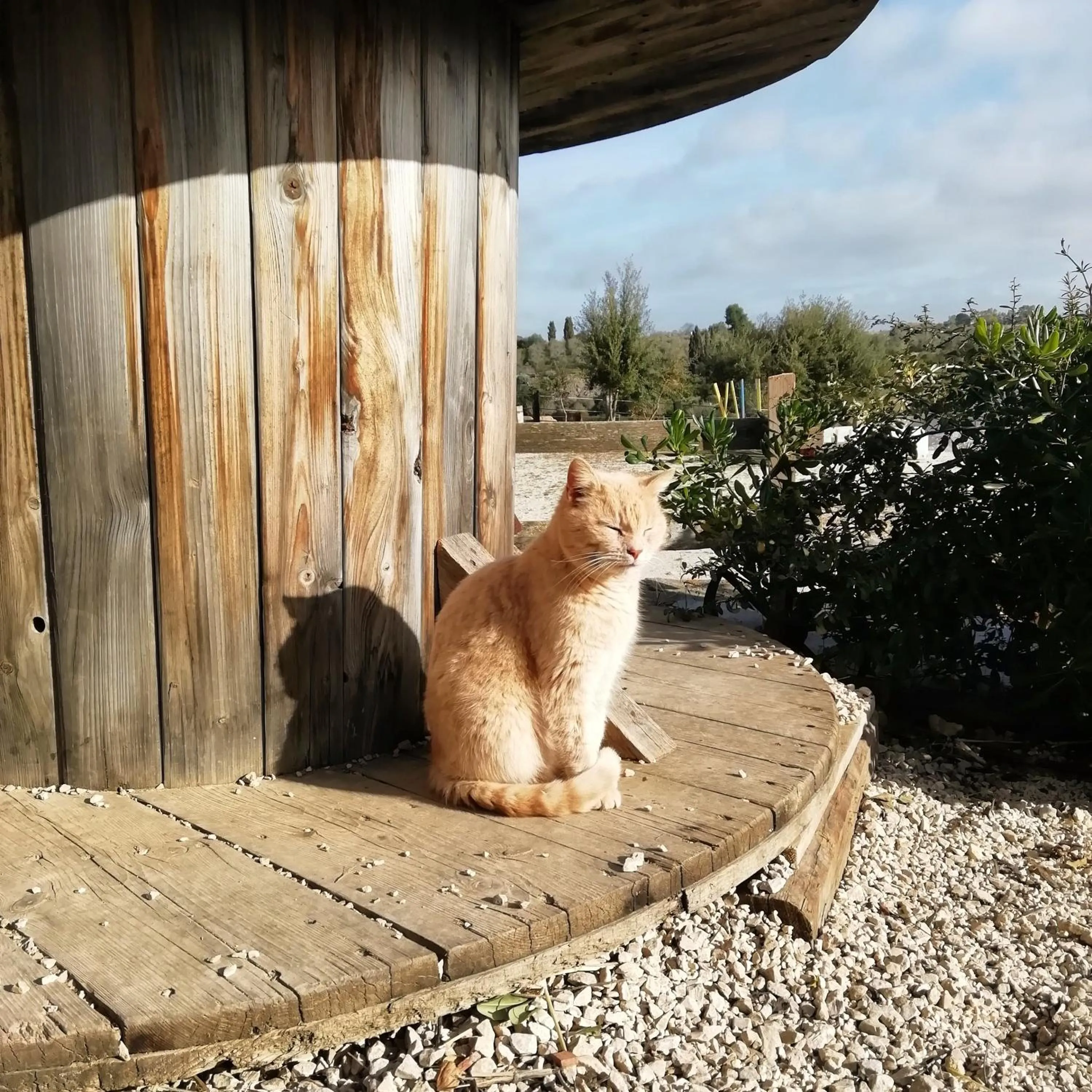 Day in B&B Badde Cubas