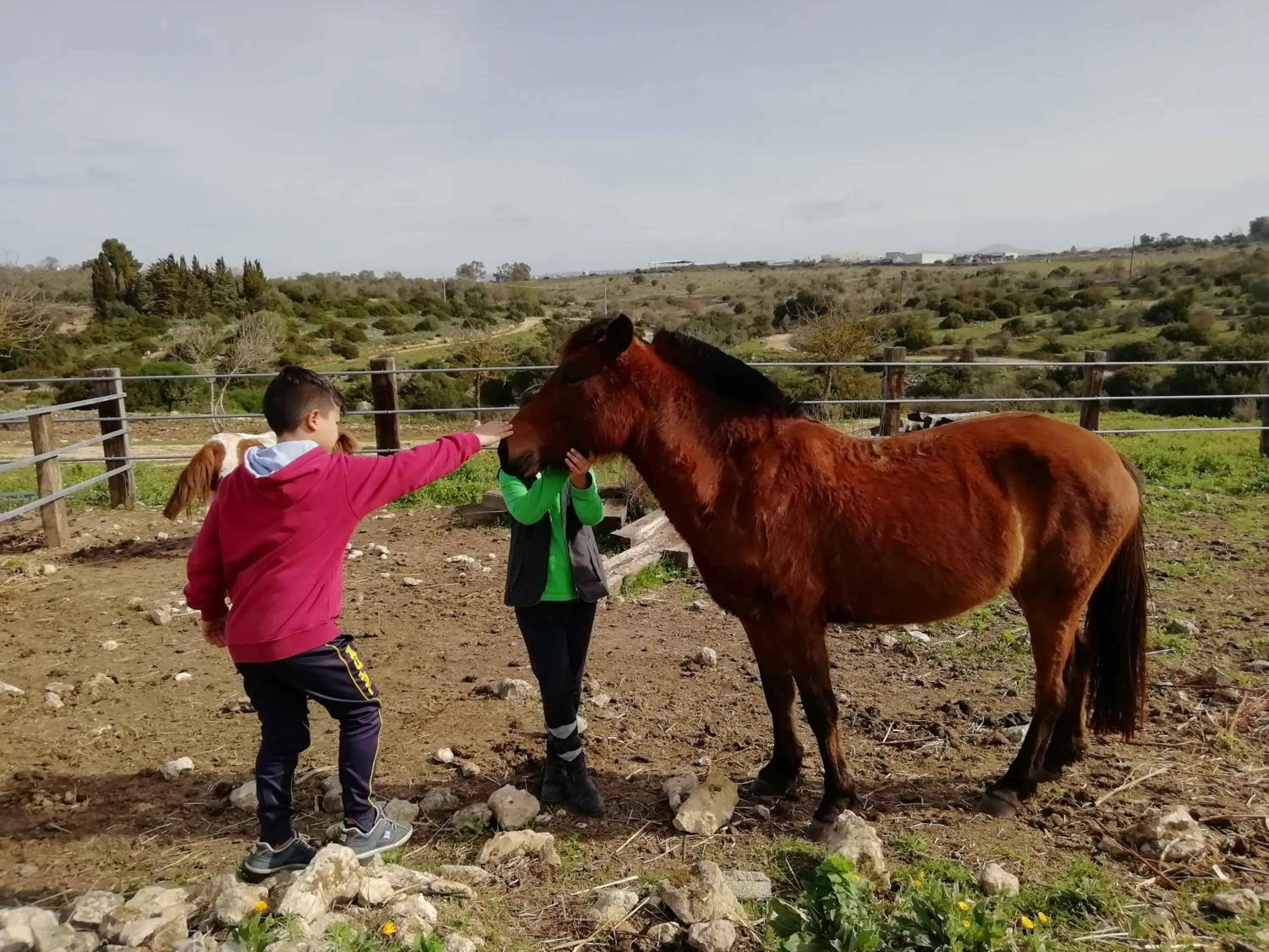 Spring in B&B Badde Cubas