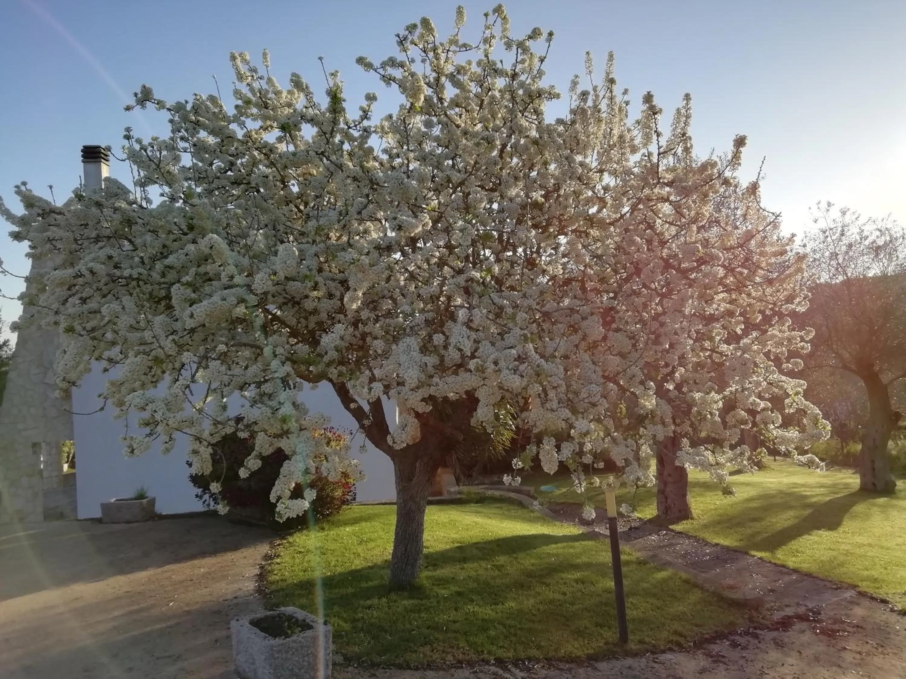 Facade/entrance in B&B Badde Cubas