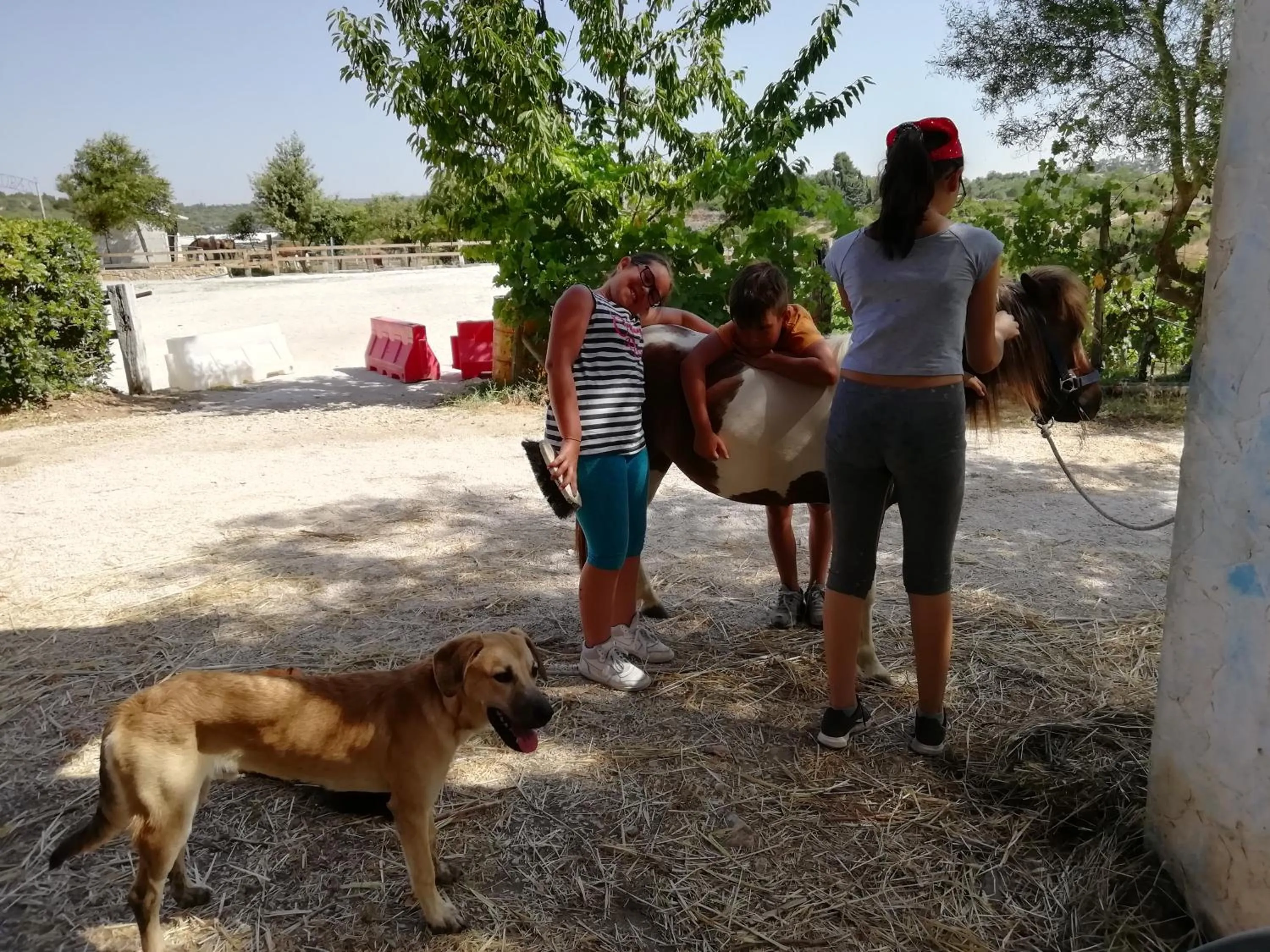 On site in B&B Badde Cubas