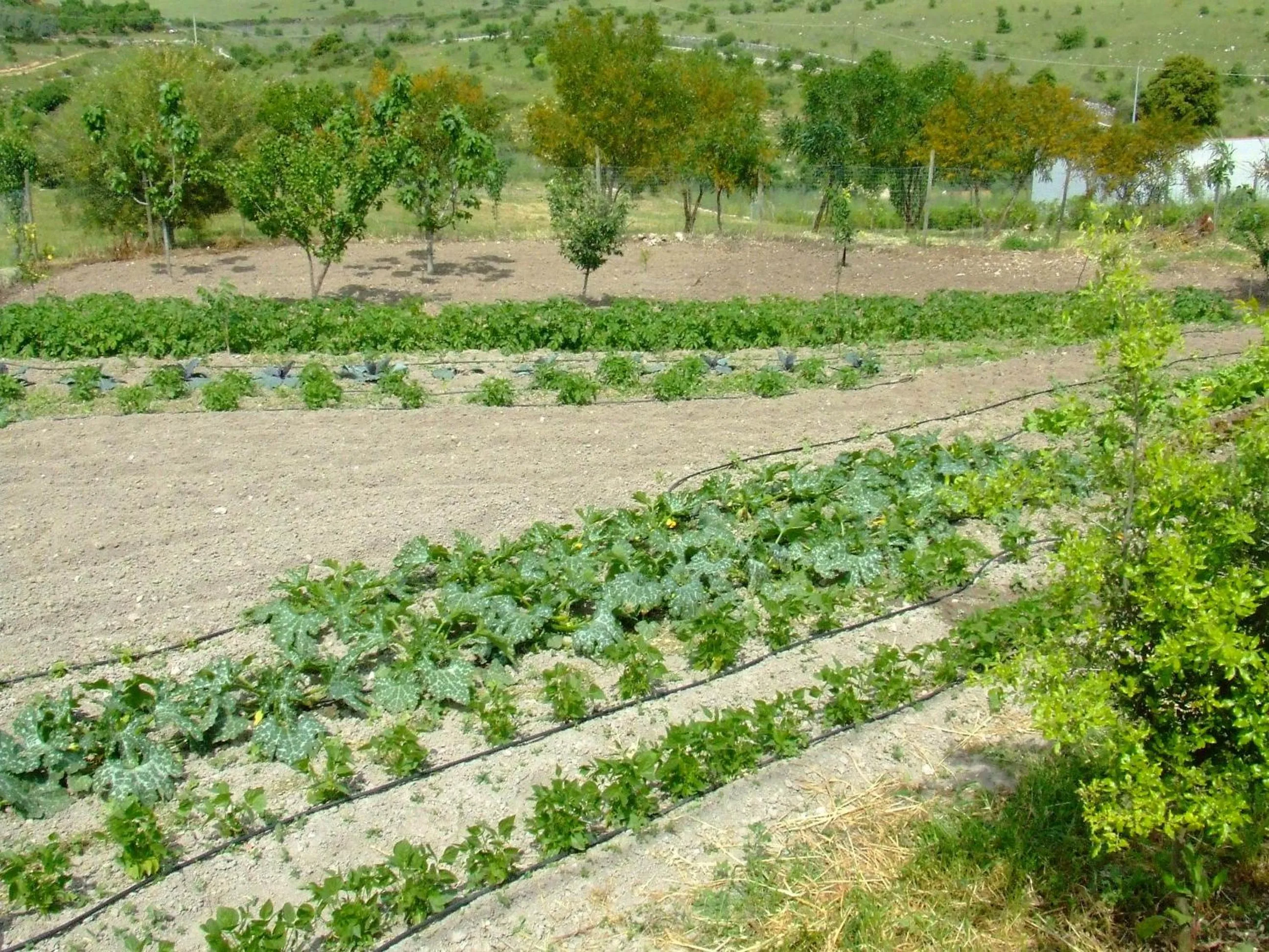 Activities in B&B Badde Cubas