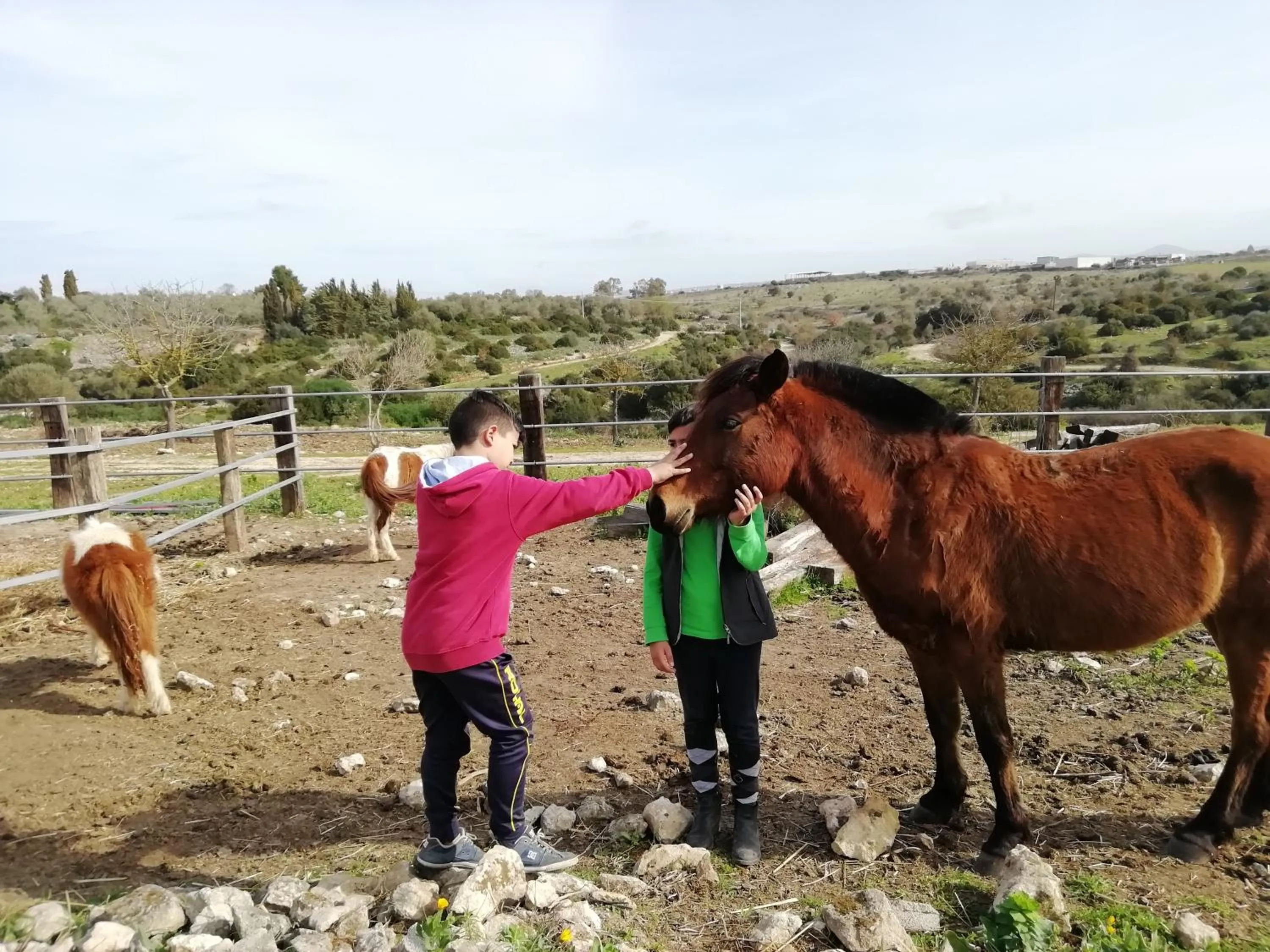 Activities in B&B Badde Cubas