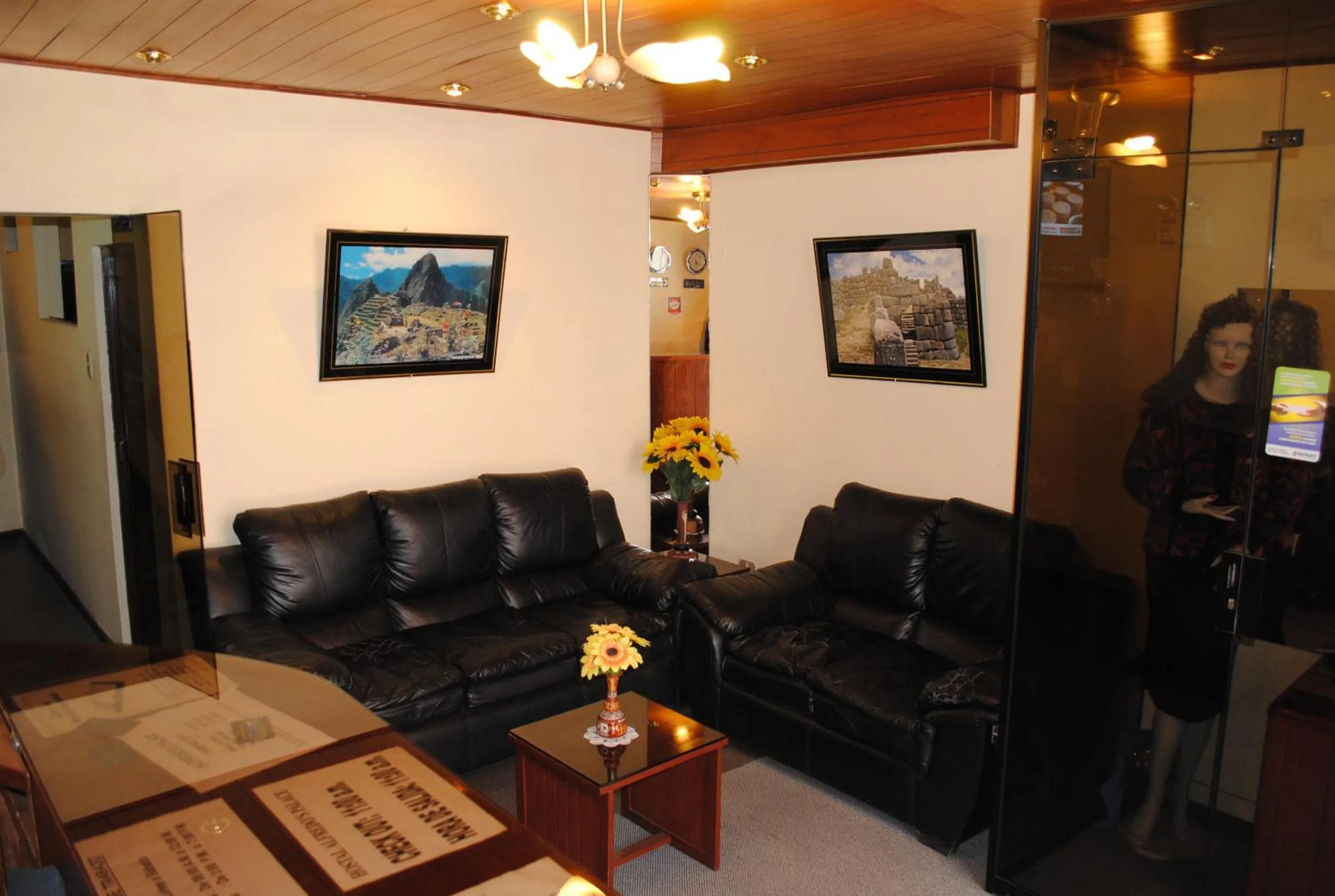 Communal lounge/ TV room in Hostal Alfredo's Palace