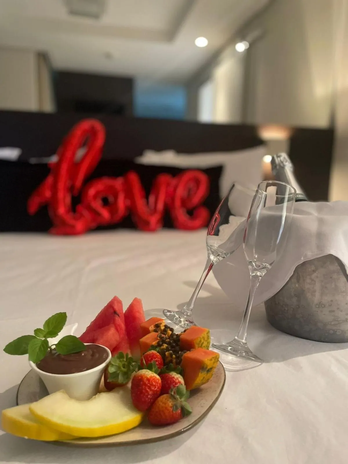 Santa Catarina Plaza Hotel