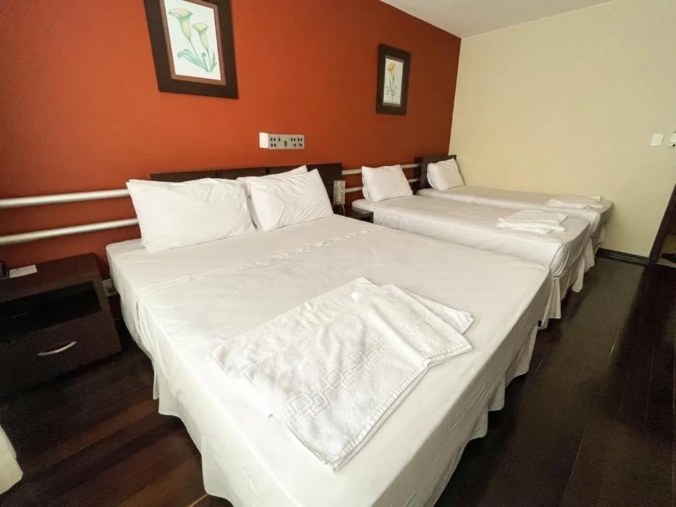 Bed in Santa Catarina Plaza Hotel