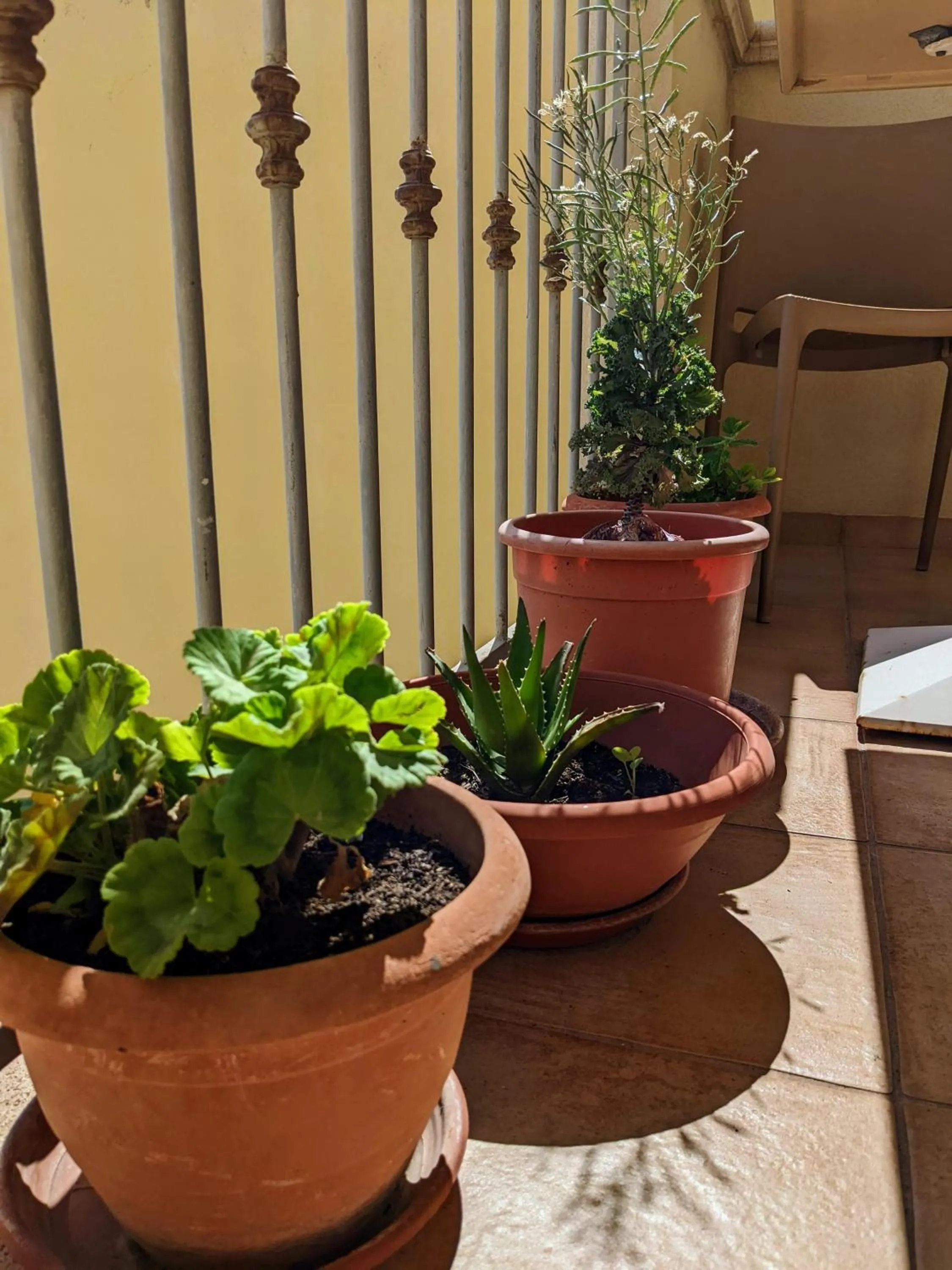 Balcony/Terrace in B&B A Casa di Angela