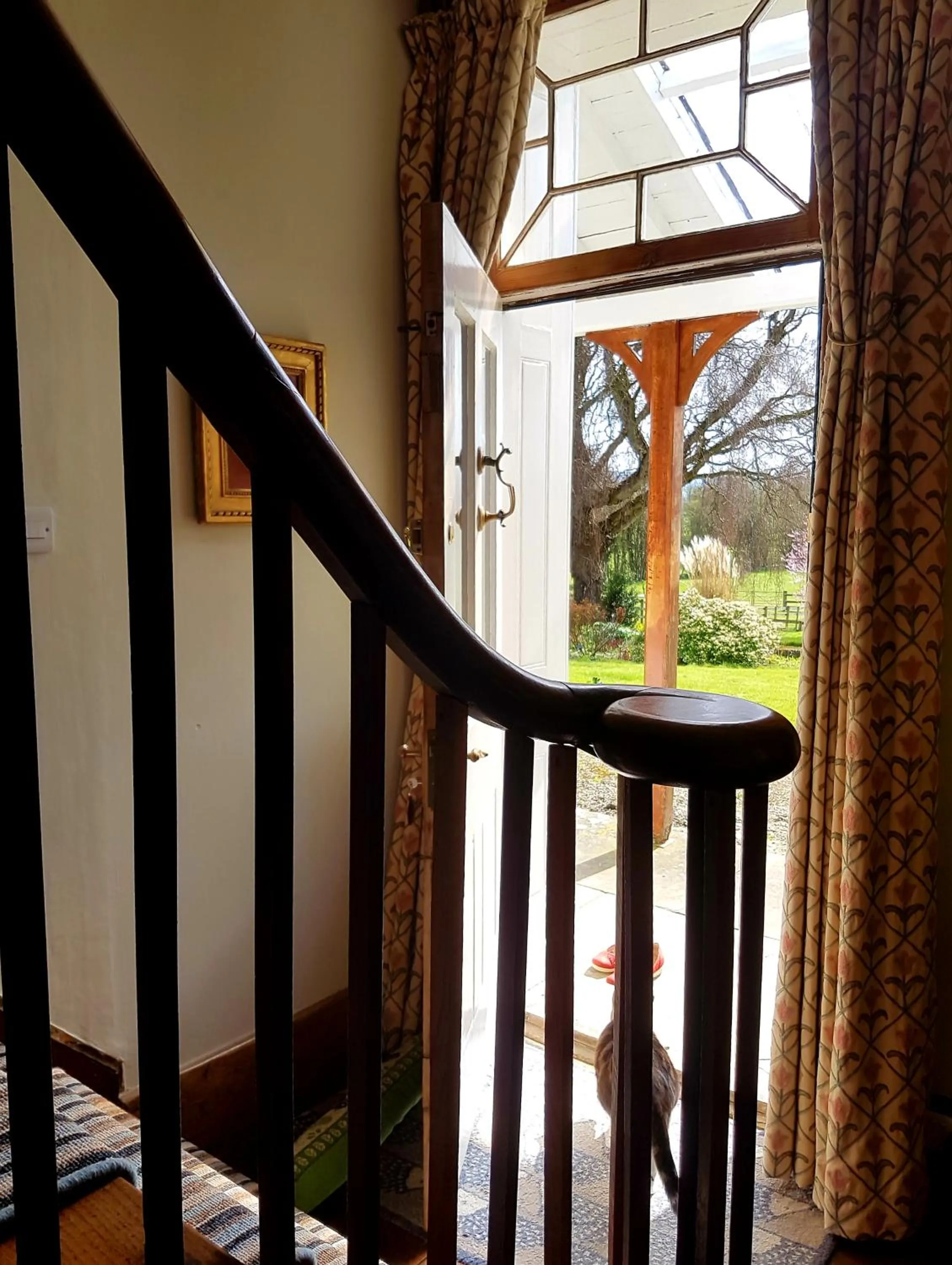 Garden view in Upper Buckton B&B