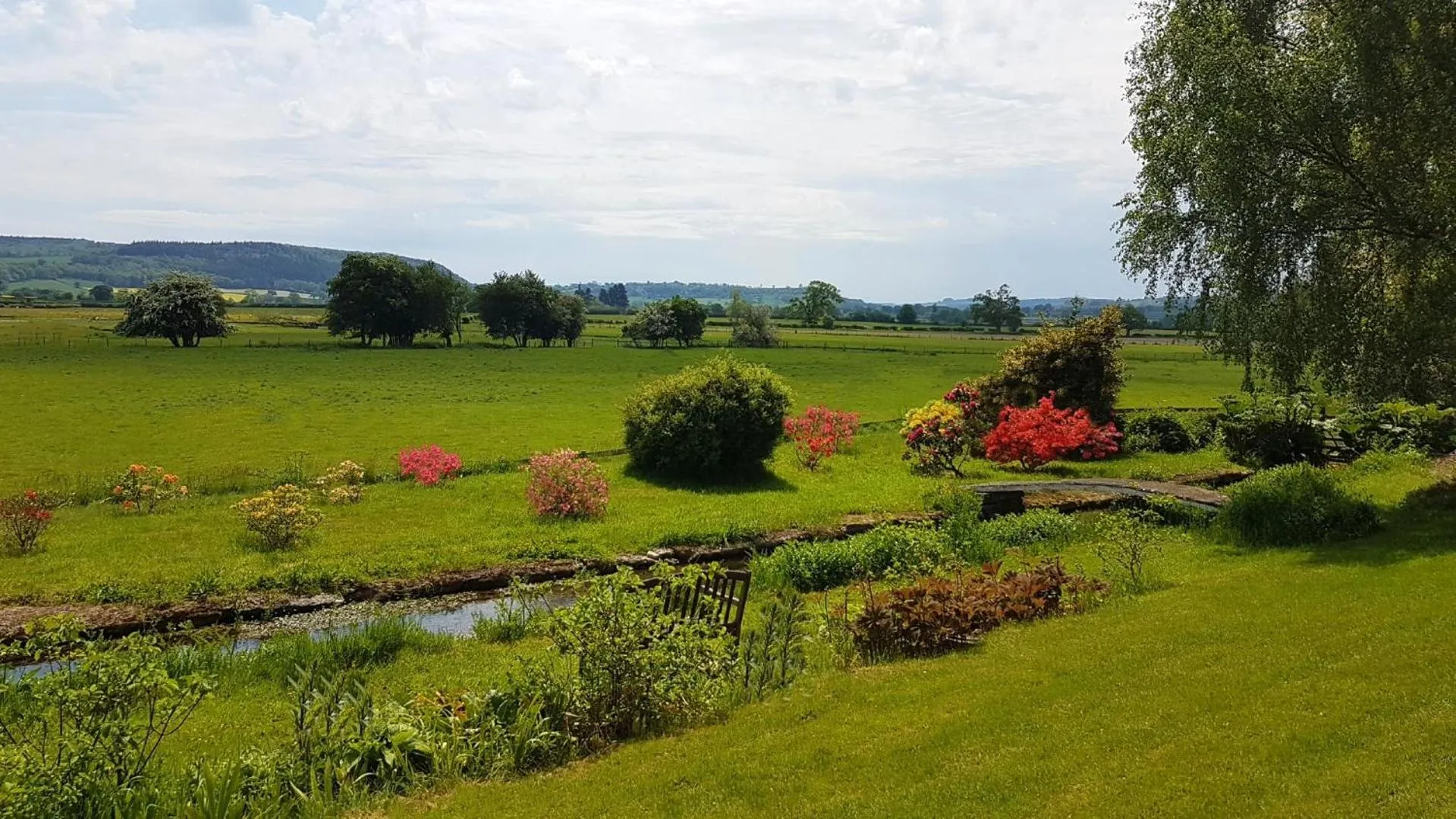 Garden in Upper Buckton B&B