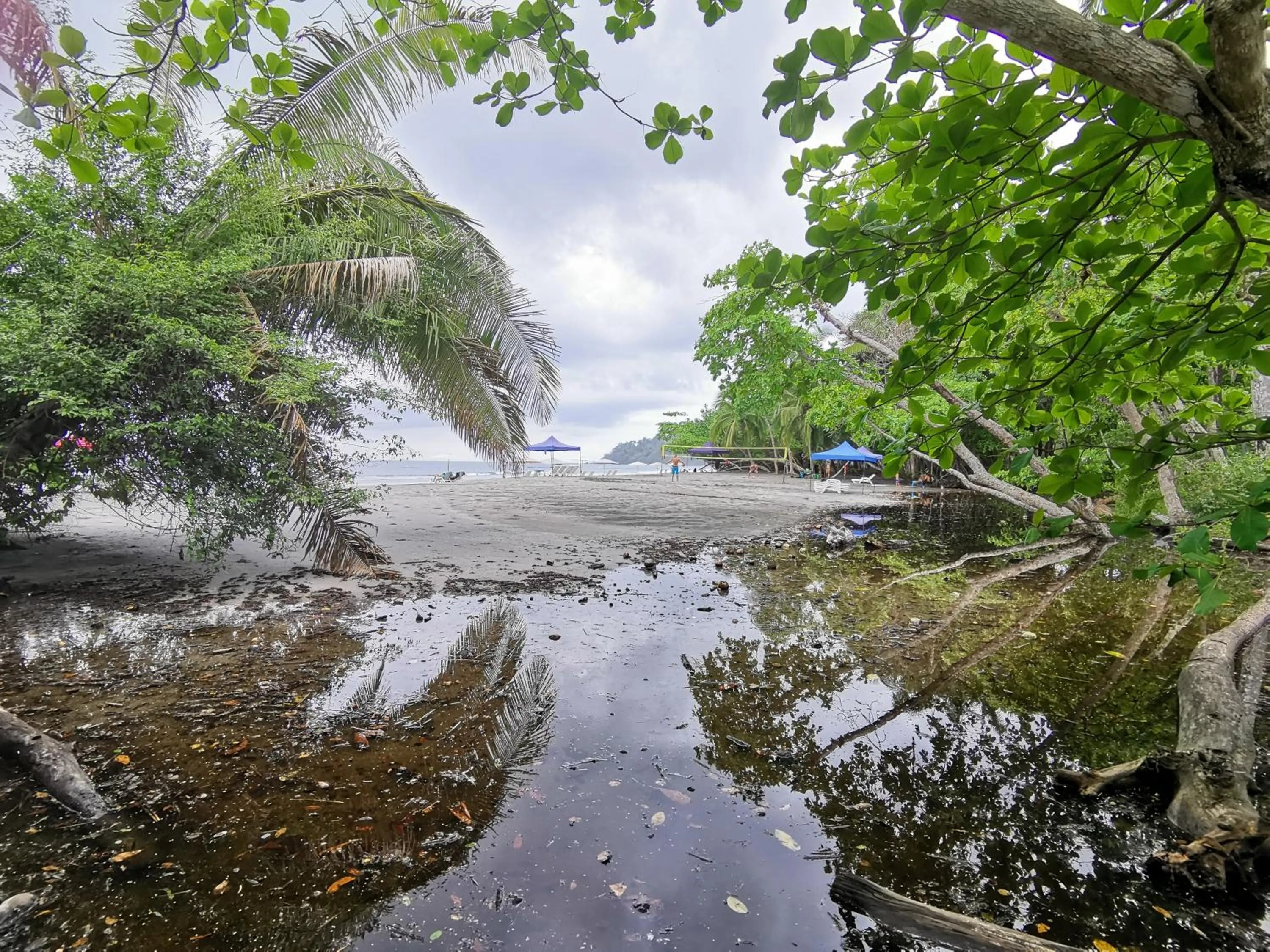 Beach in Jungle Beach Hotel Manuel Antonio