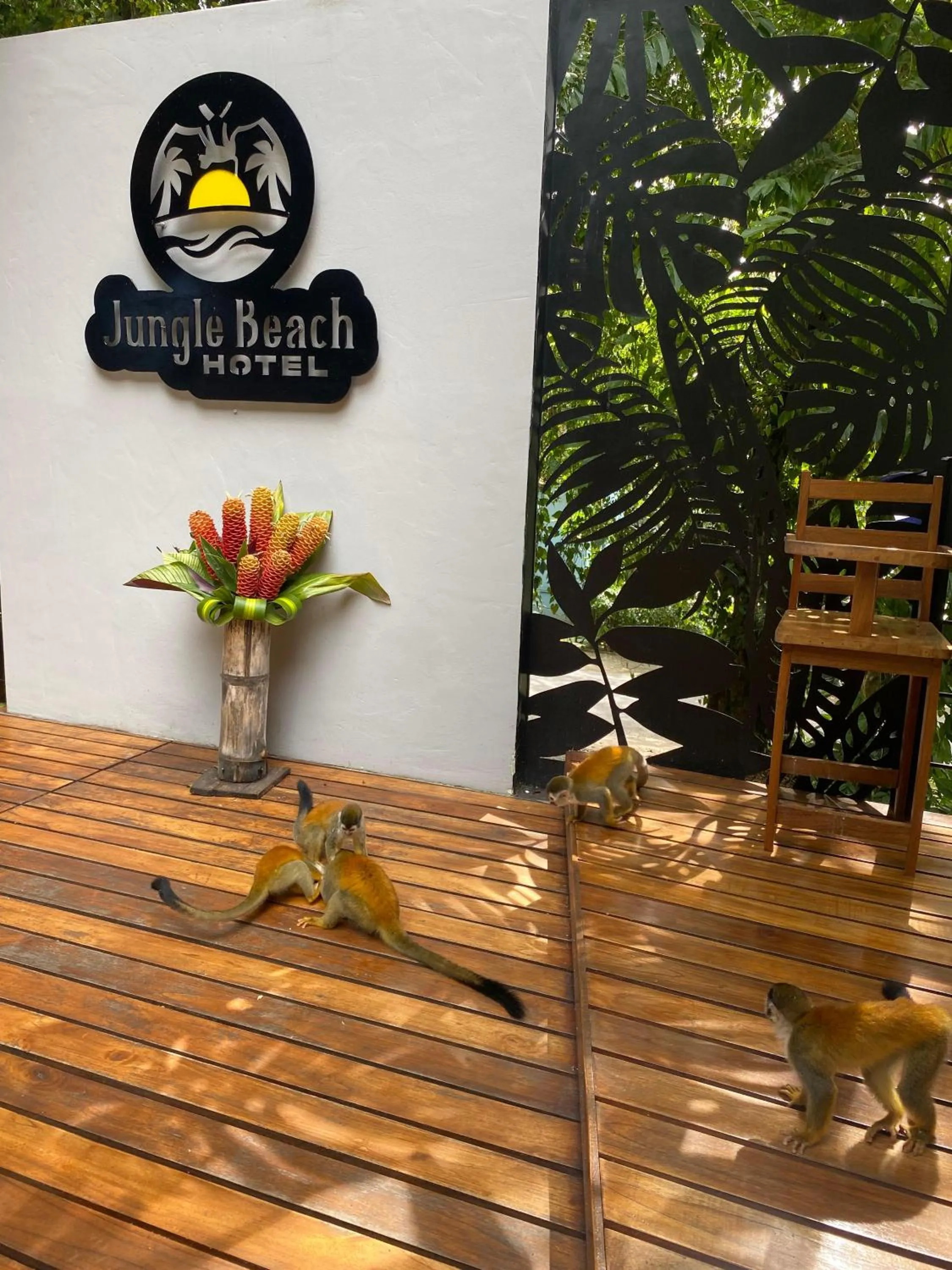 Restaurant/places to eat in Jungle Beach Hotel Manuel Antonio