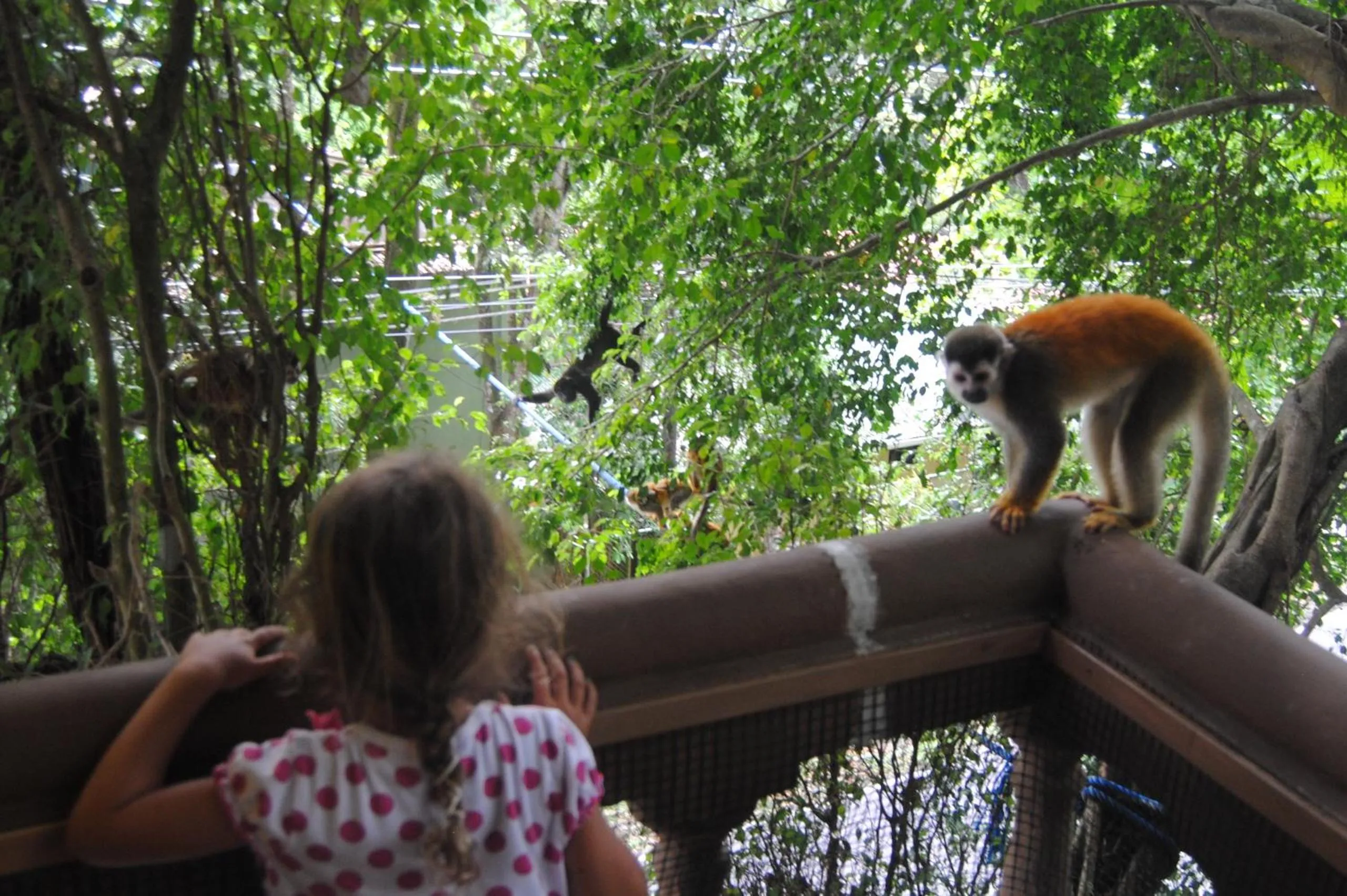 View (from property/room) in Jungle Beach Hotel Manuel Antonio