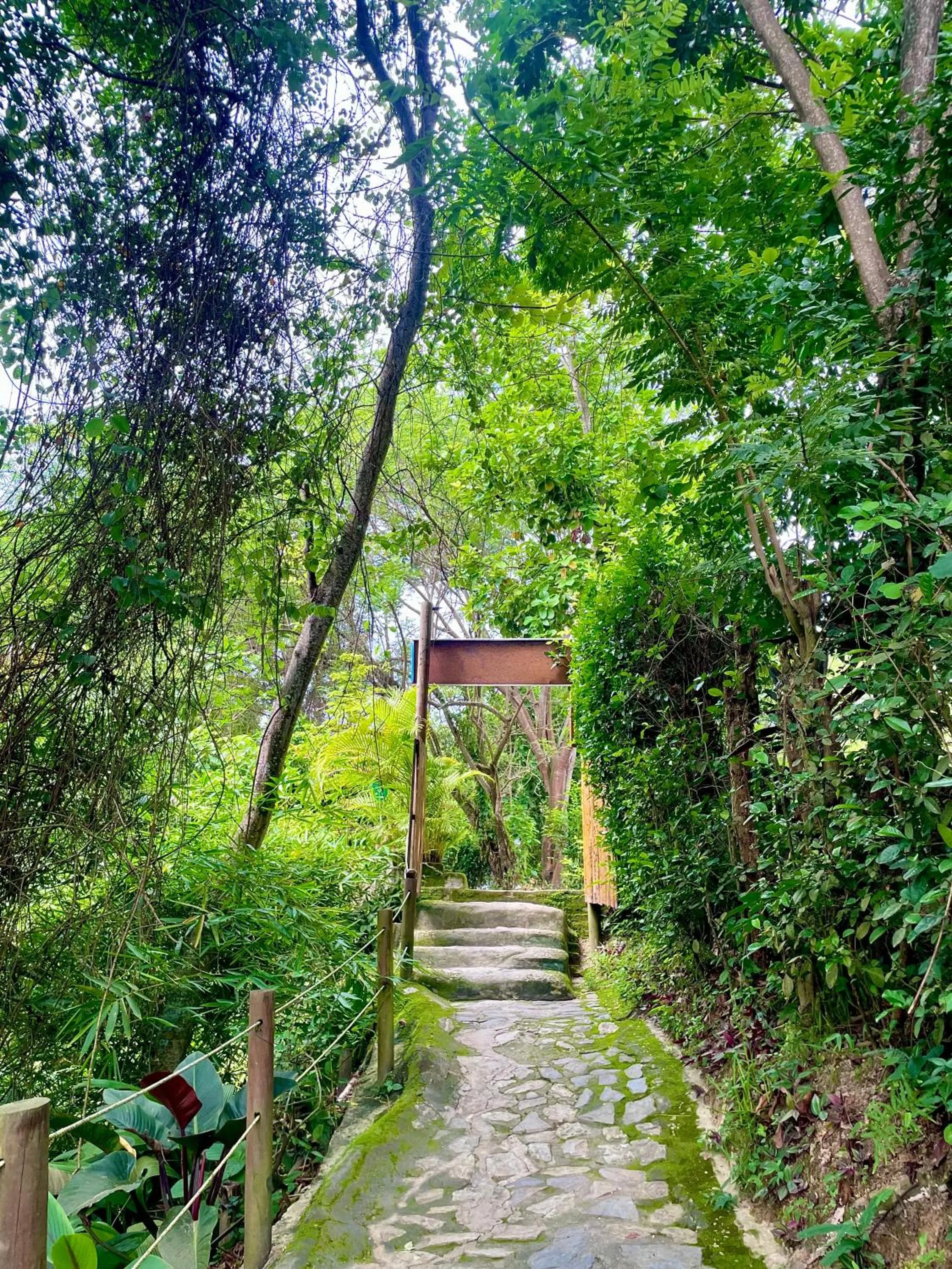 Entertainment in Minca Ecohabs Hotel