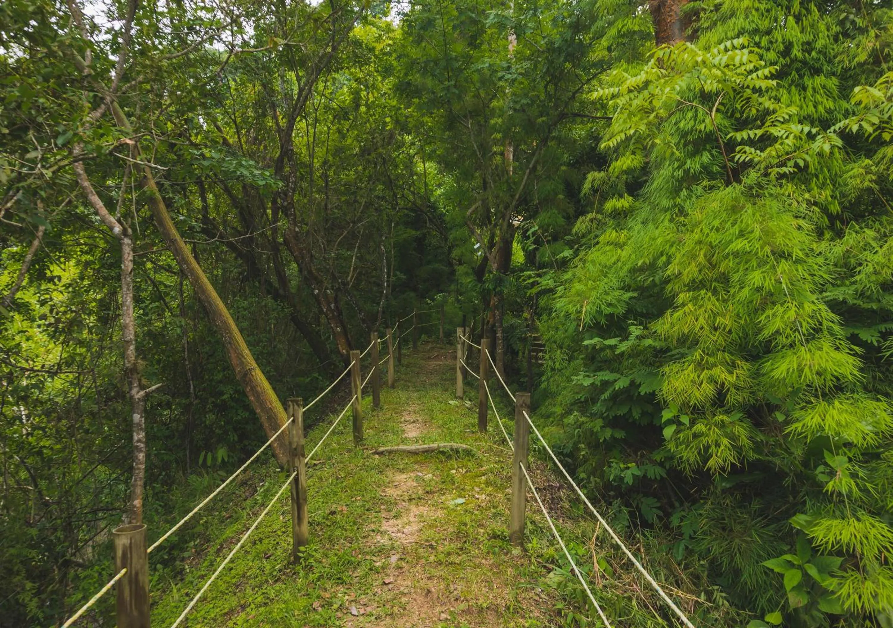 Natural landscape in Minca Ecohabs Hotel