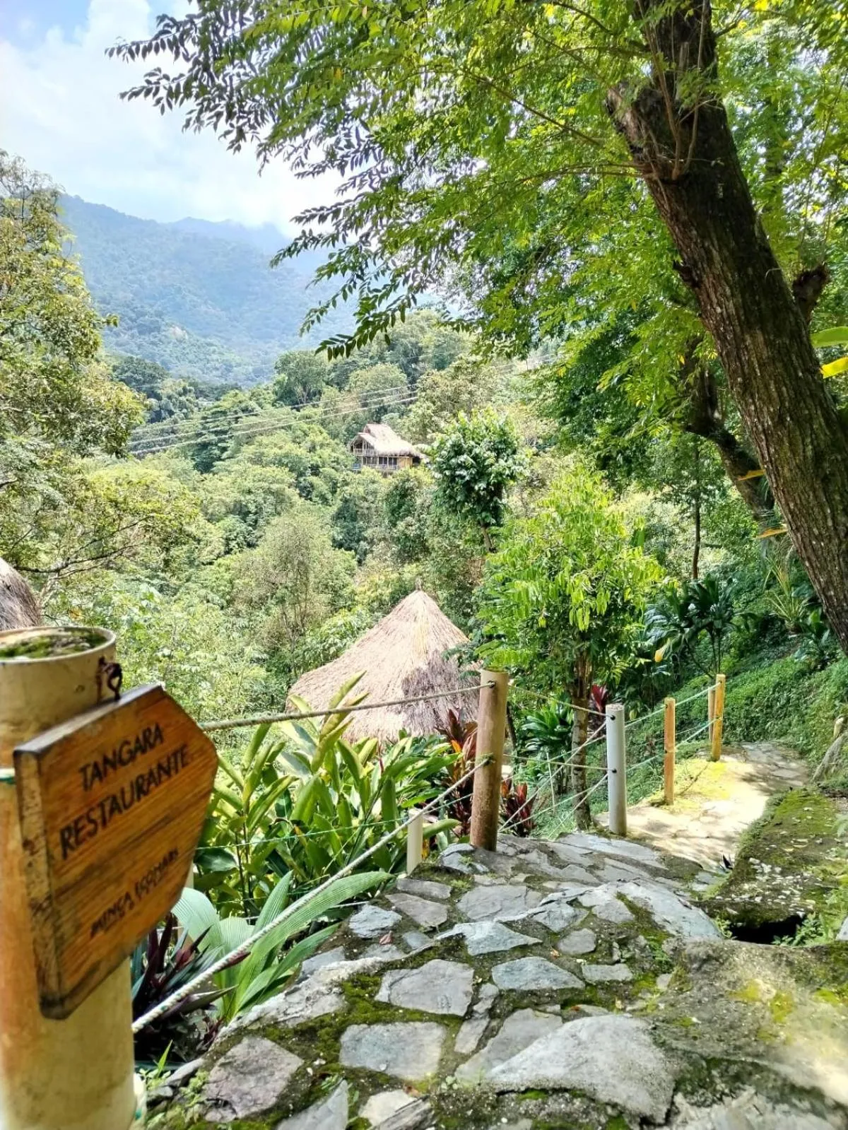 Garden in Minca Ecohabs Hotel