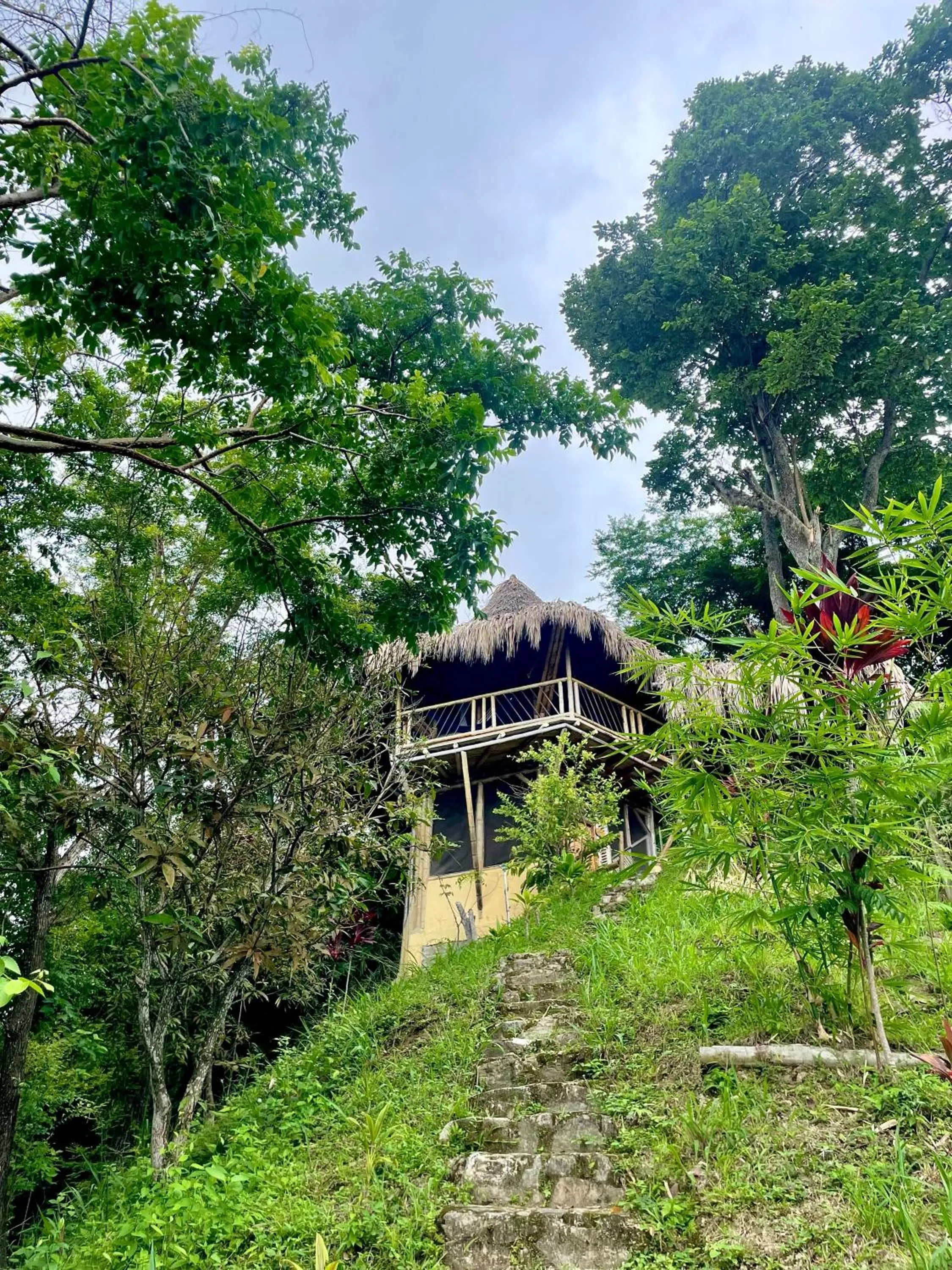 Garden in Minca Ecohabs Hotel