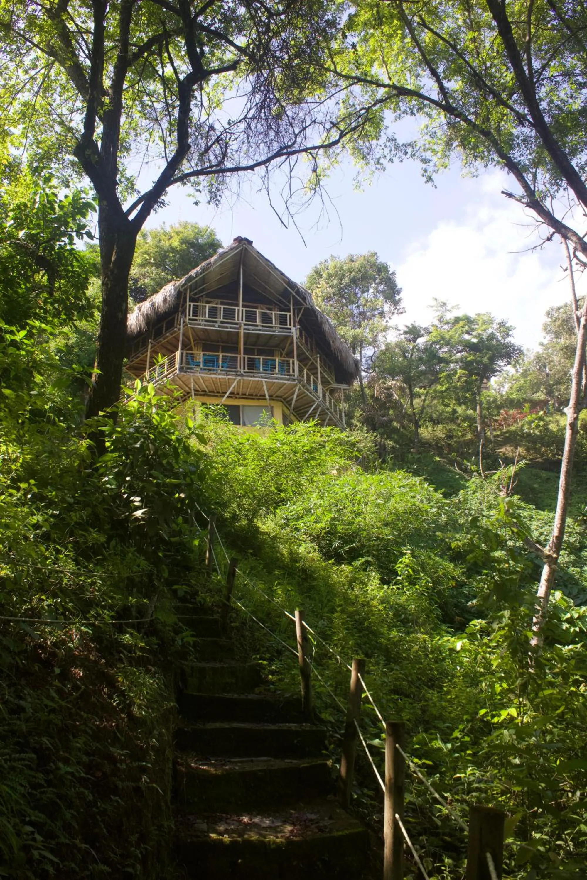 Restaurant/places to eat in Minca Ecohabs Hotel