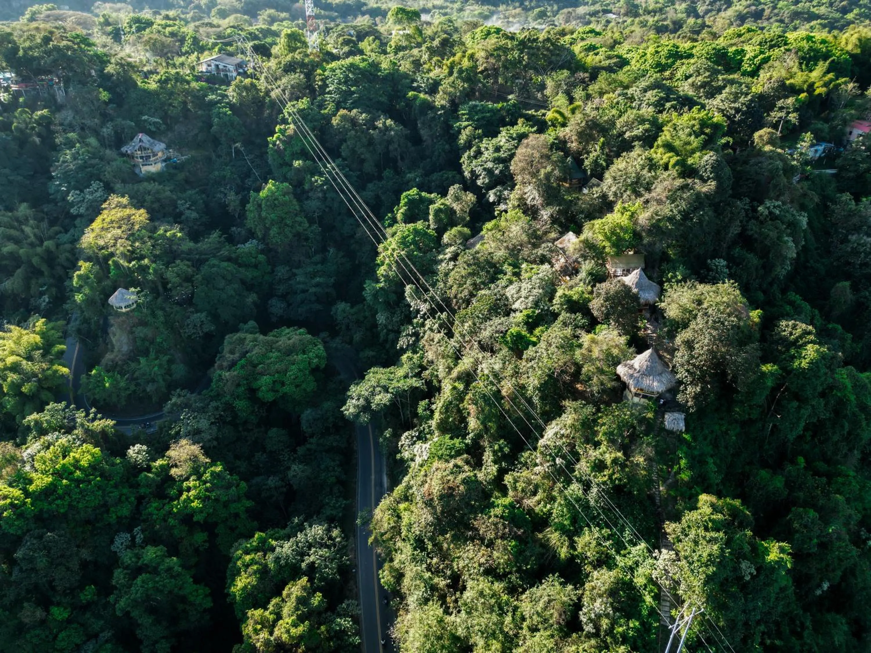 Natural landscape in Minca Ecohabs Hotel