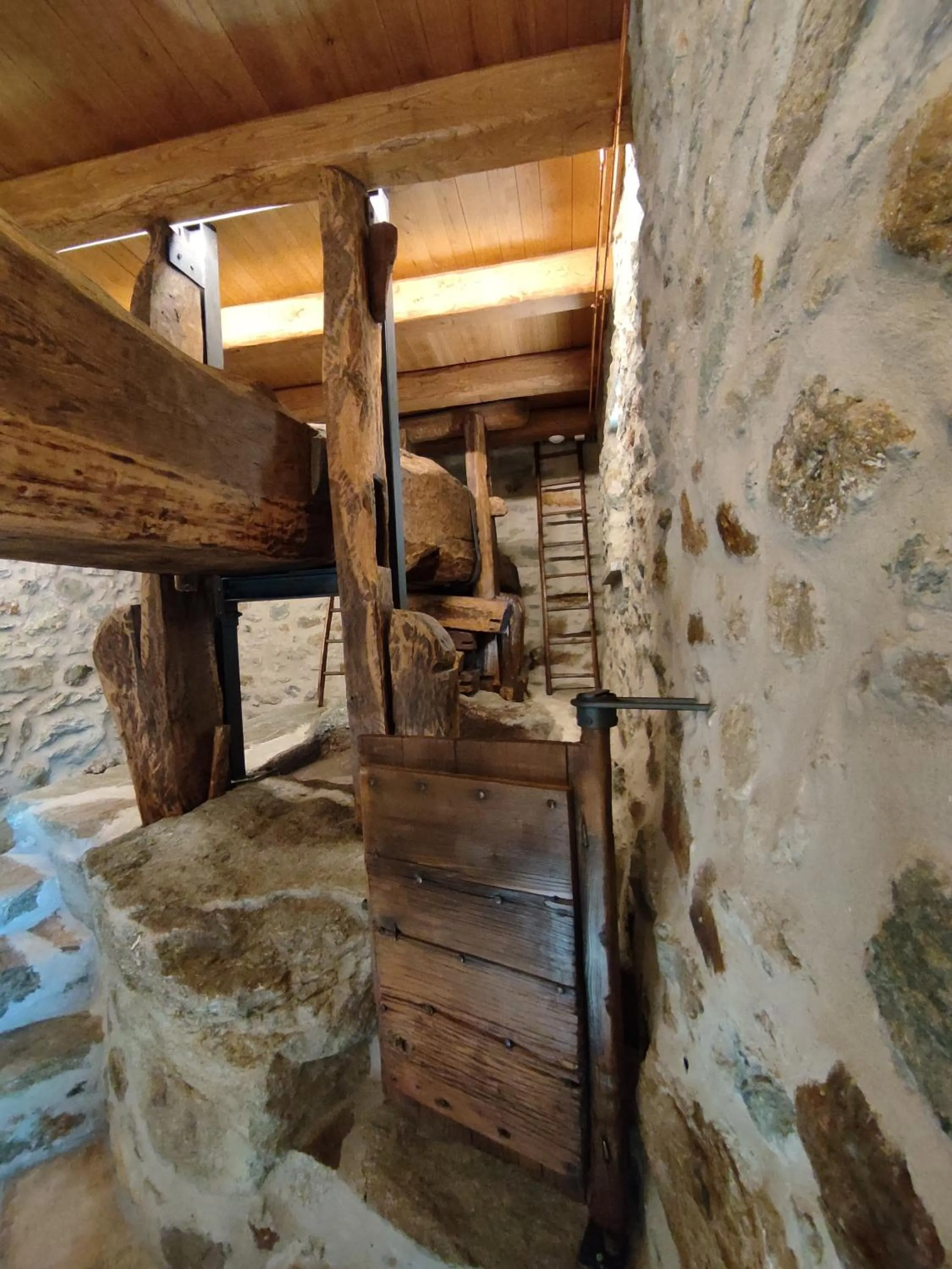 Restaurant/places to eat in B&B Al Vecchio Torchio