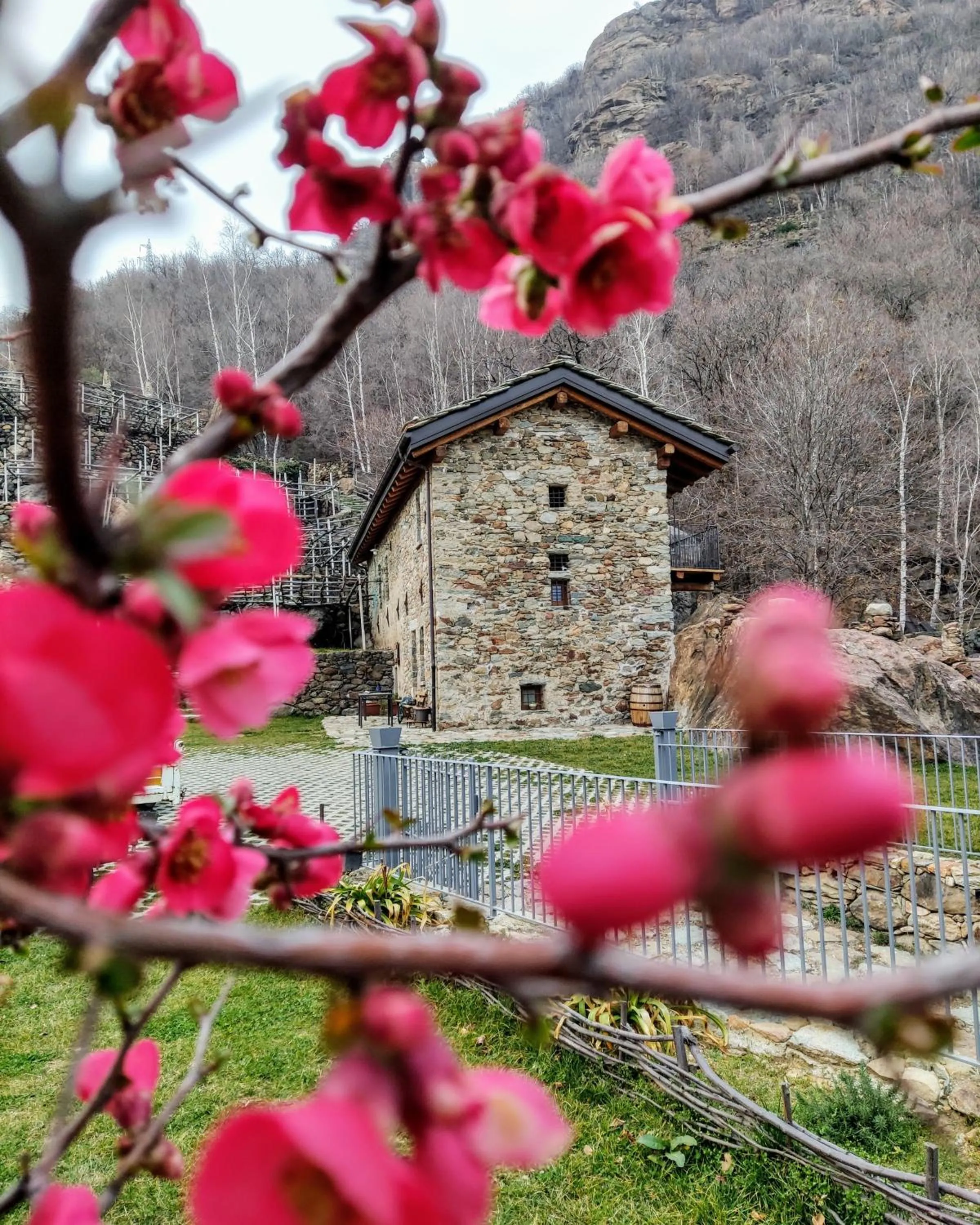 Property building in B&B Al Vecchio Torchio