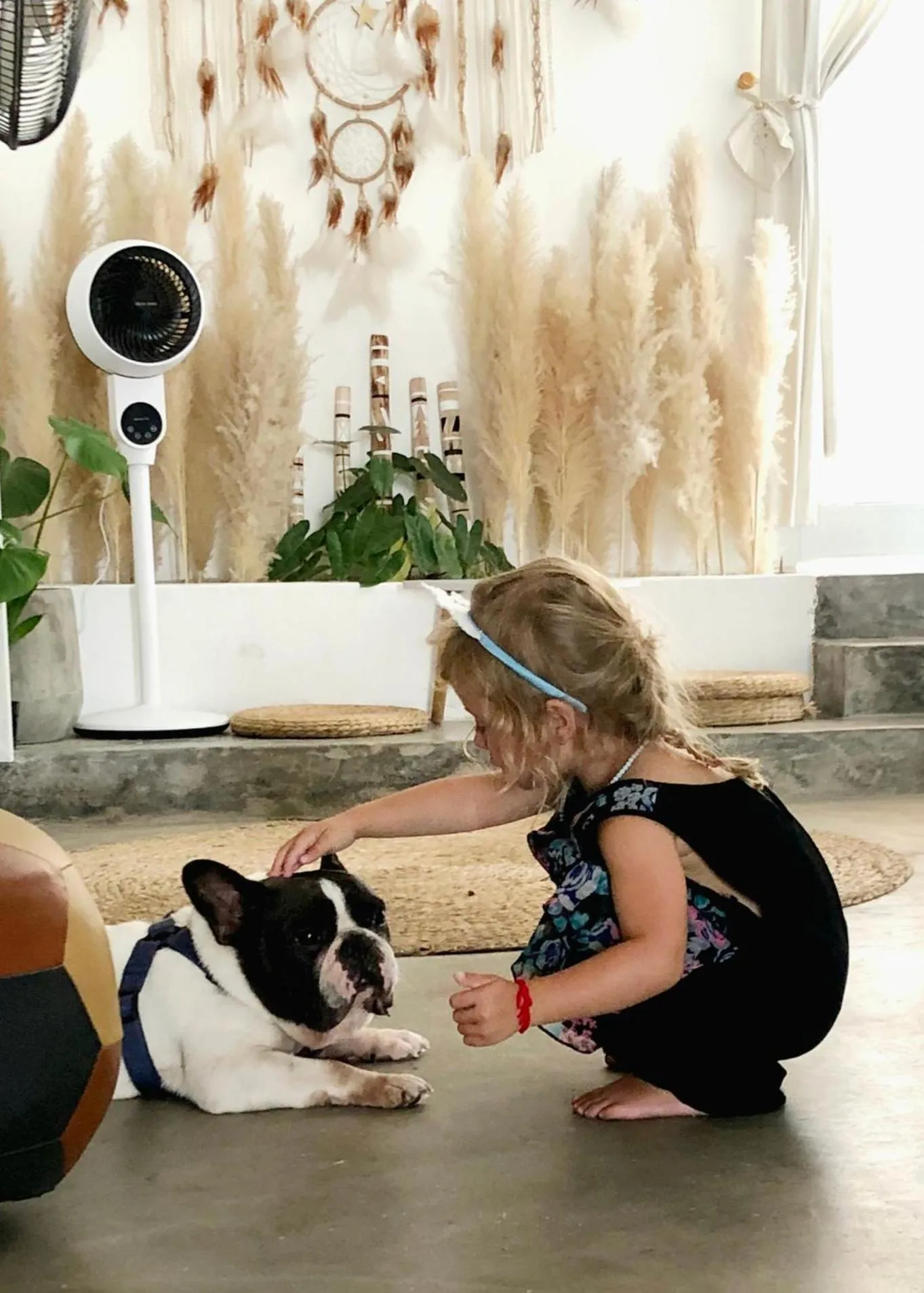 Pets in LaDa's House Da Nang